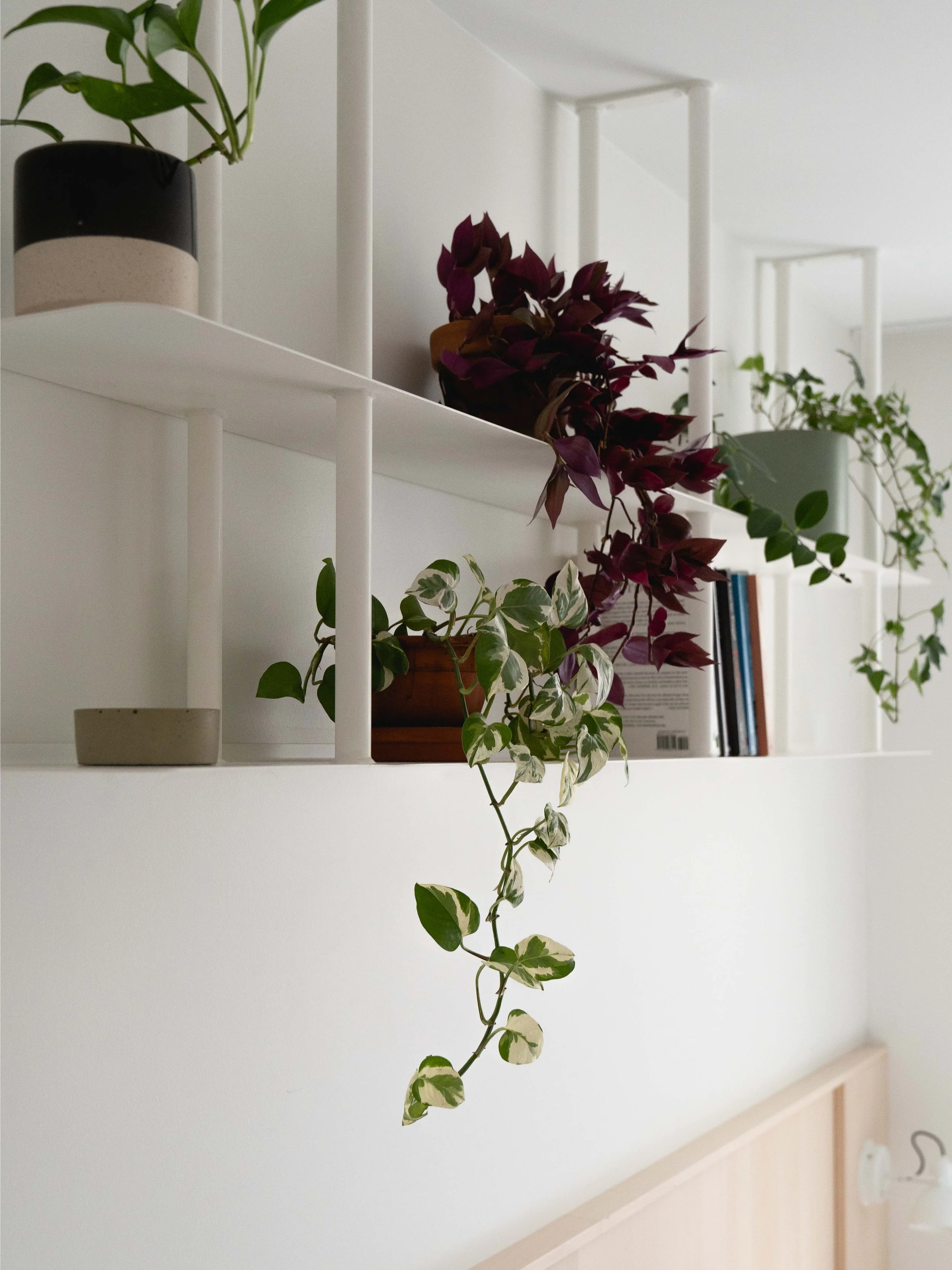 Design d'un module en acier pour la chambre par inscape le studio