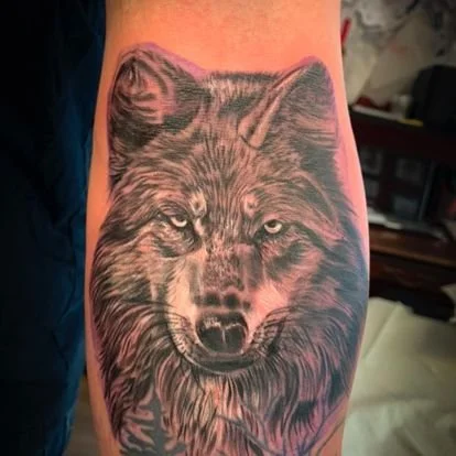 wolf 1.jpg