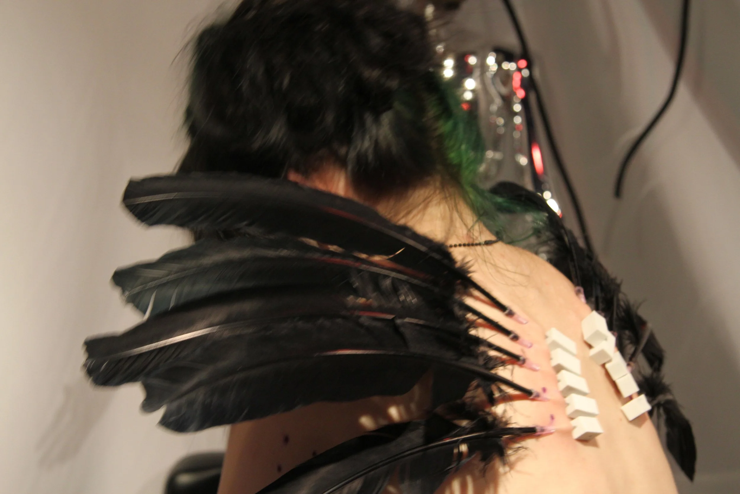 DSK Black feather 3.JPG