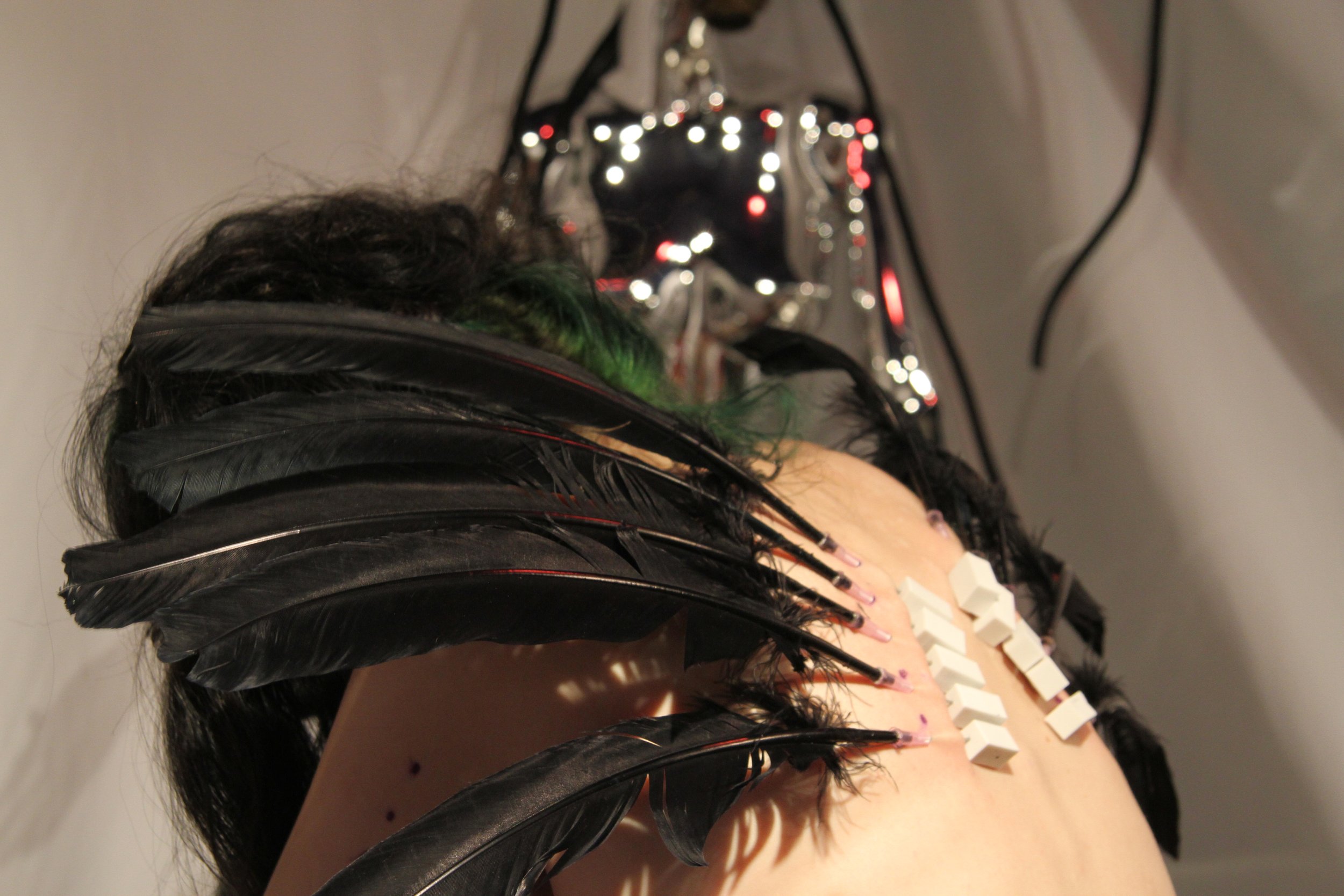 DSK Black feather 4.JPG