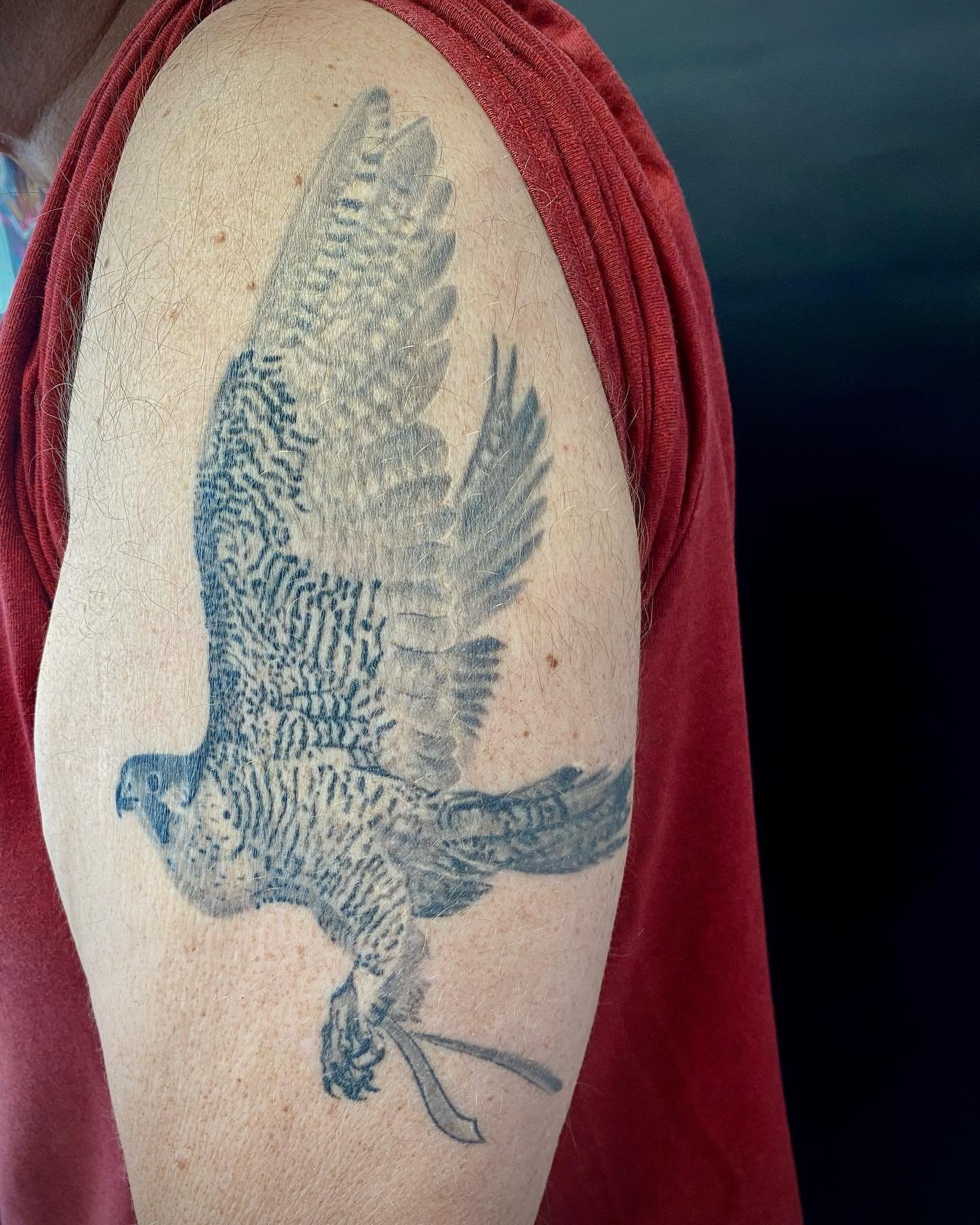 bird .jpg