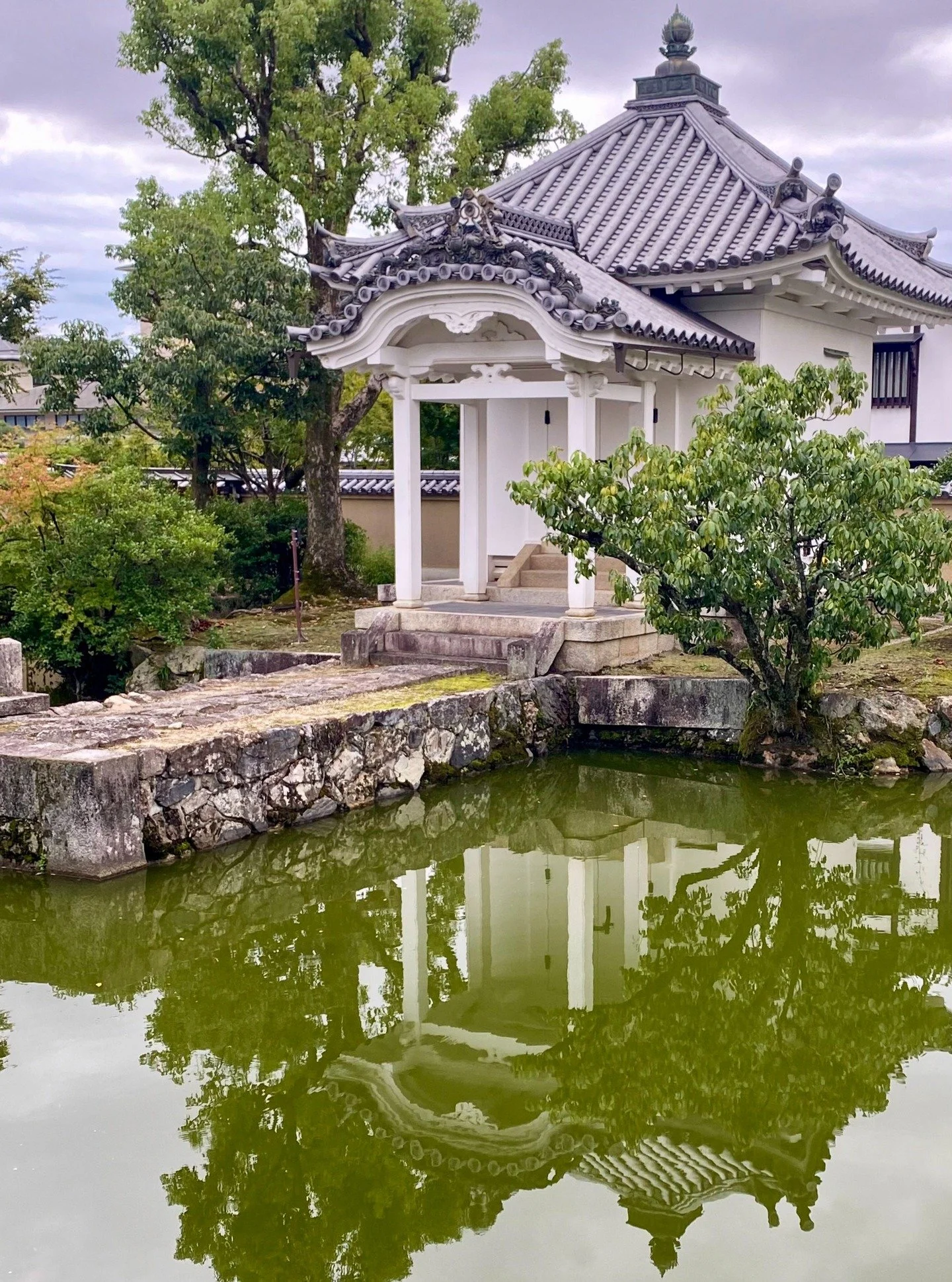 Reflection 3
A Kismet Afternoon