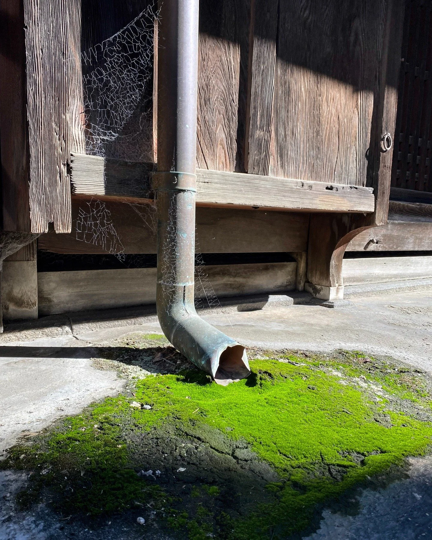 Signs of (Water) Gathering 4