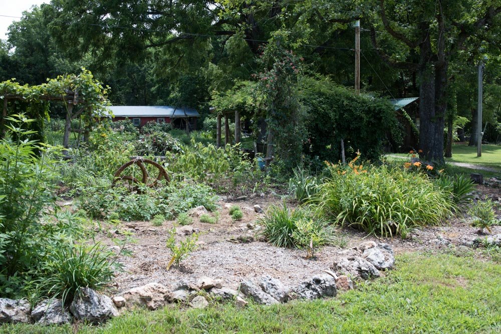 A lush backyard garden with various plants, flowers, and trees, featuring a gravel pathway and a small rustic building in the background.