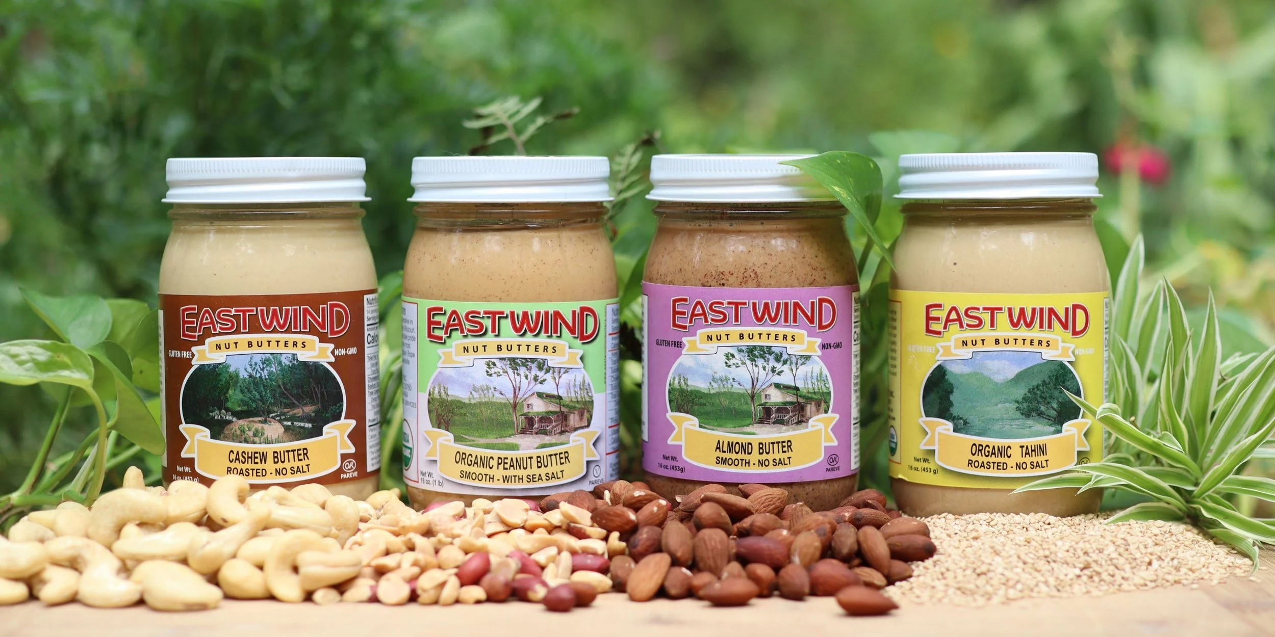 Three different kinds of East Wind Nut Butters plus East Wind Tahini in 16 oz jars: cashew butter, organic Valencia peanut butter, almond butter, organic tahini) behind small piles of cashews, peanuts, and almonds