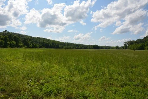 Open green field with grass, trees on the hills in the background, and a partly cloudy sky.