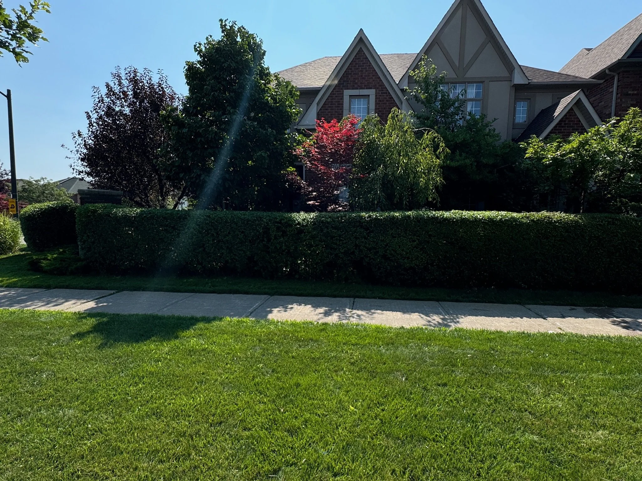 Front yard of a house with a well-maintained lawn, trimmed hedge, and various trees, with a sidewalk in front and a blue sky above.