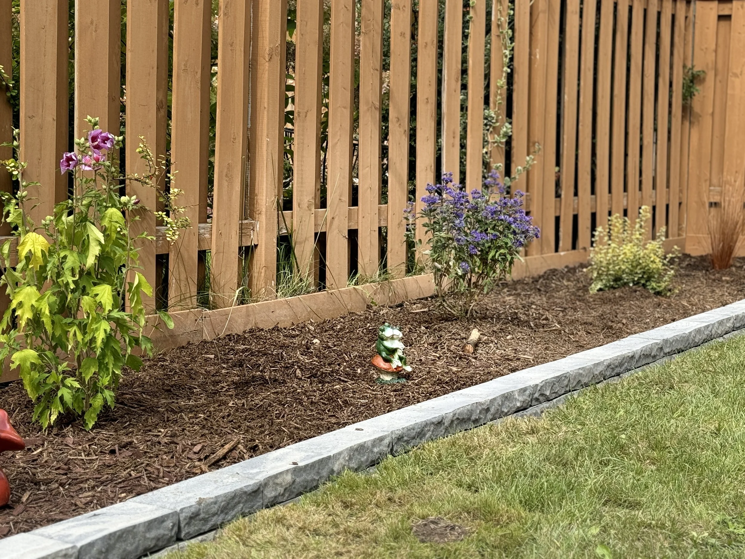 Garden bed with various purple, yellow, and pink flowers, small decorative frog statue, enclosed by a wooden fence, with a stone border and green grass in the foreground.
