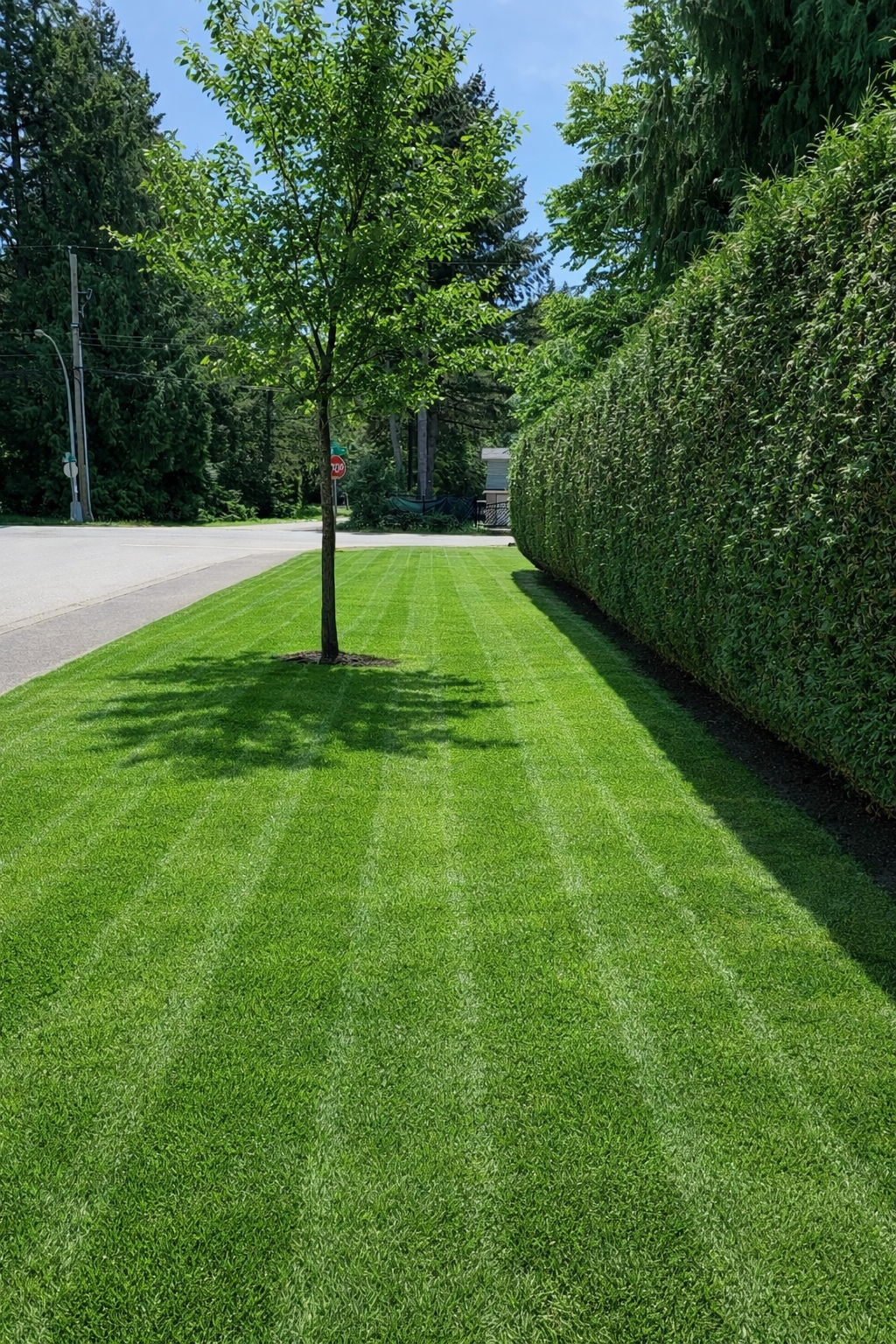 🌿 Bi-Weekly Budget Program