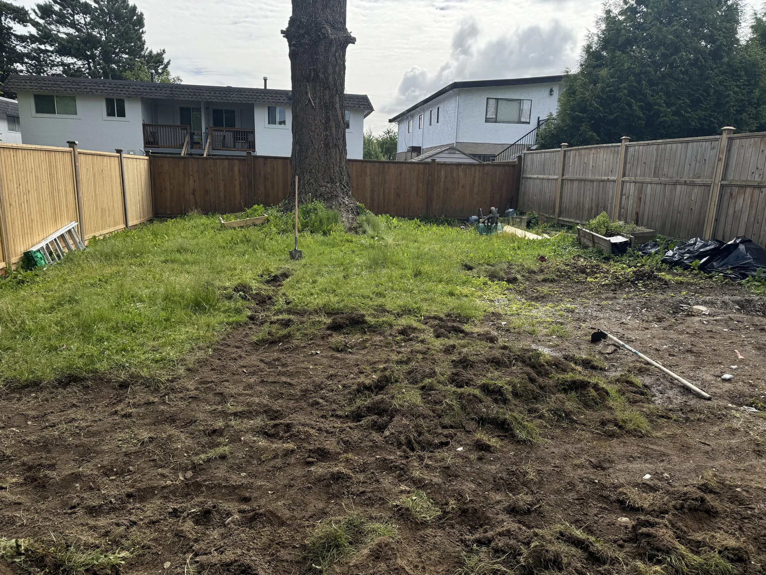 Backyard with a large tree in the center, a fence around the perimeter, and soil and grass patches in the yard. Gardening tools and supplies are scattered around, with some covered in black plastic. Two houses are visible in the background.
