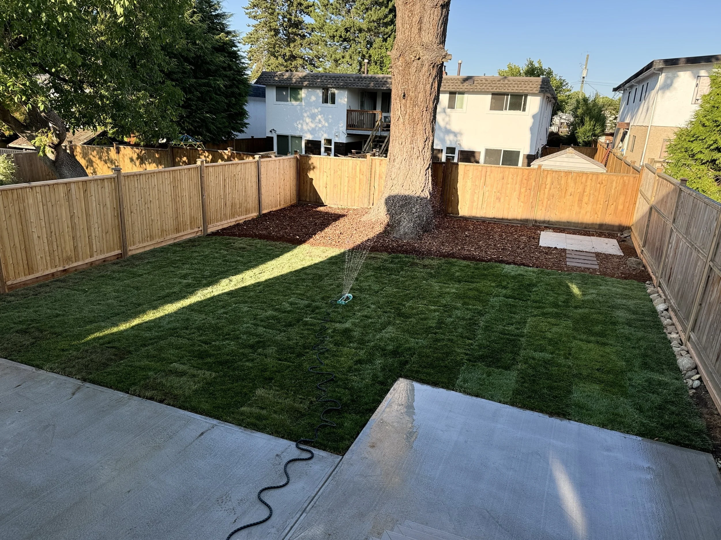 Backyard with a green lawn, a large tree in the center, a wooden fence around the yard, and a sprinkler watering the grass. There are neighboring houses visible in the background.