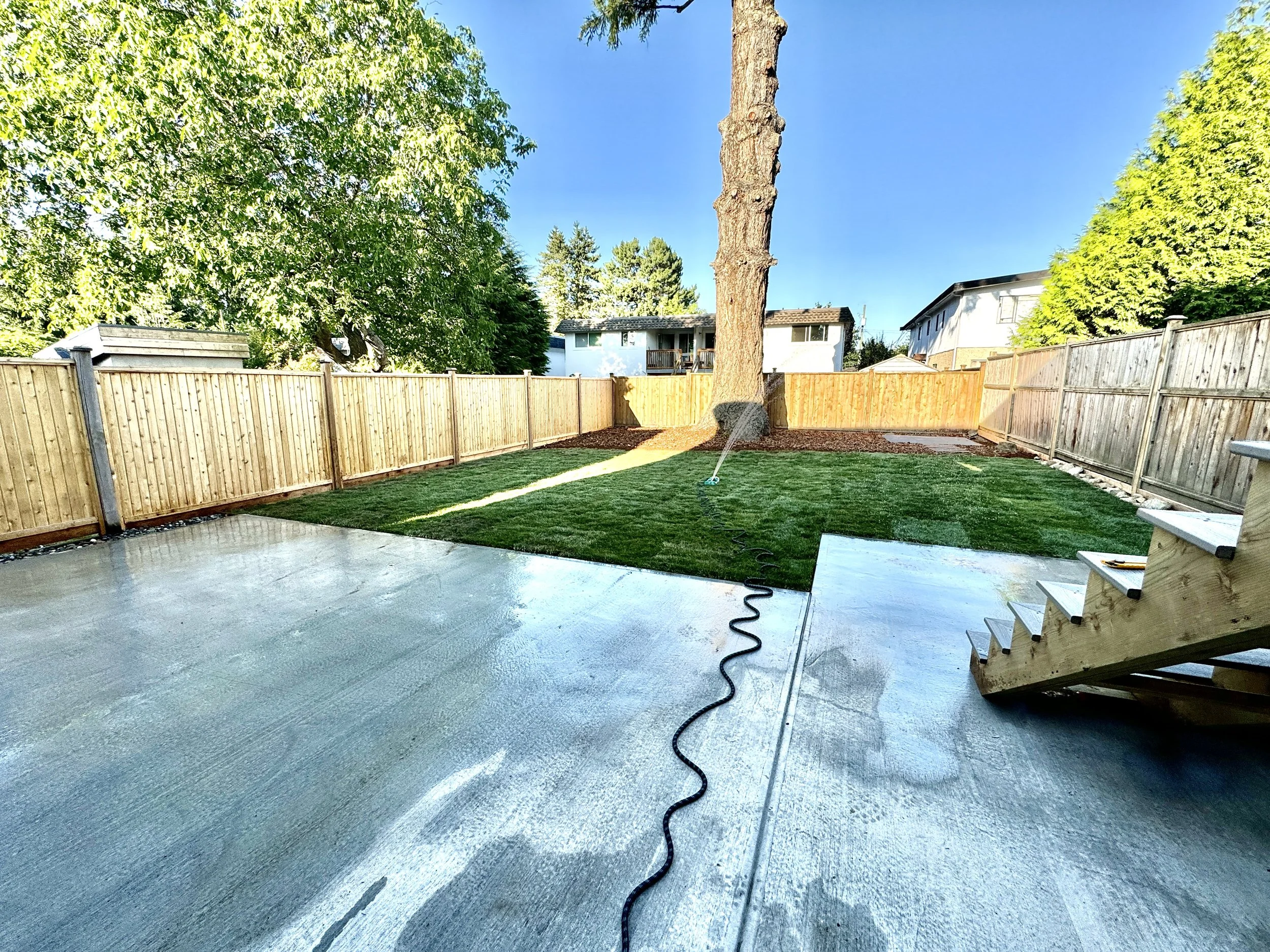 View of a backyard with a wooden fence, a large tree, a freshly watered lawn, and a concrete patio with stairs, under clear blue sky.