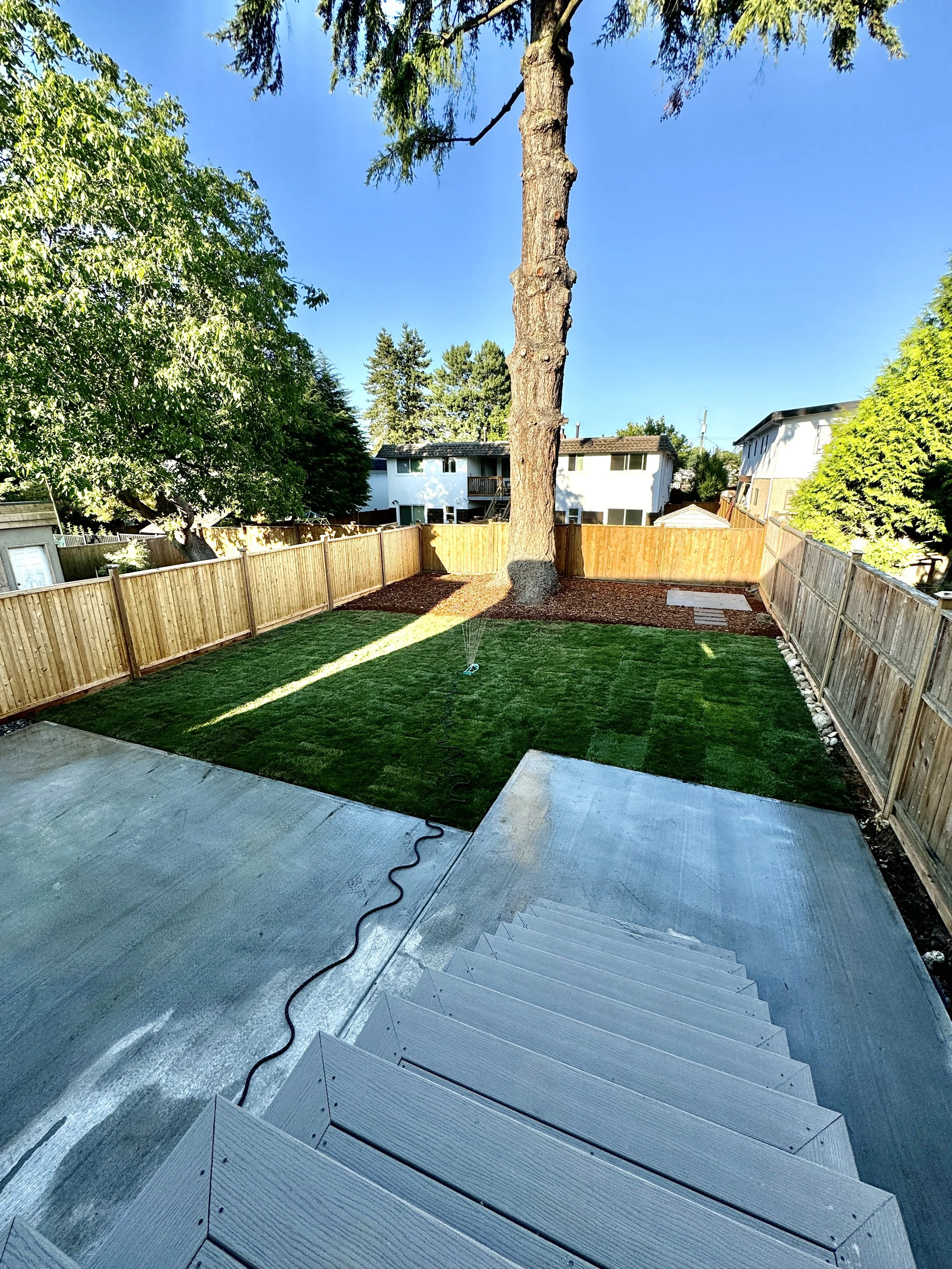 Backyard with a freshly mowed lawn, a large tree, and a new wooden fence. Concrete patio with steps leading down to the yard, and a sprinkler watering the grass.