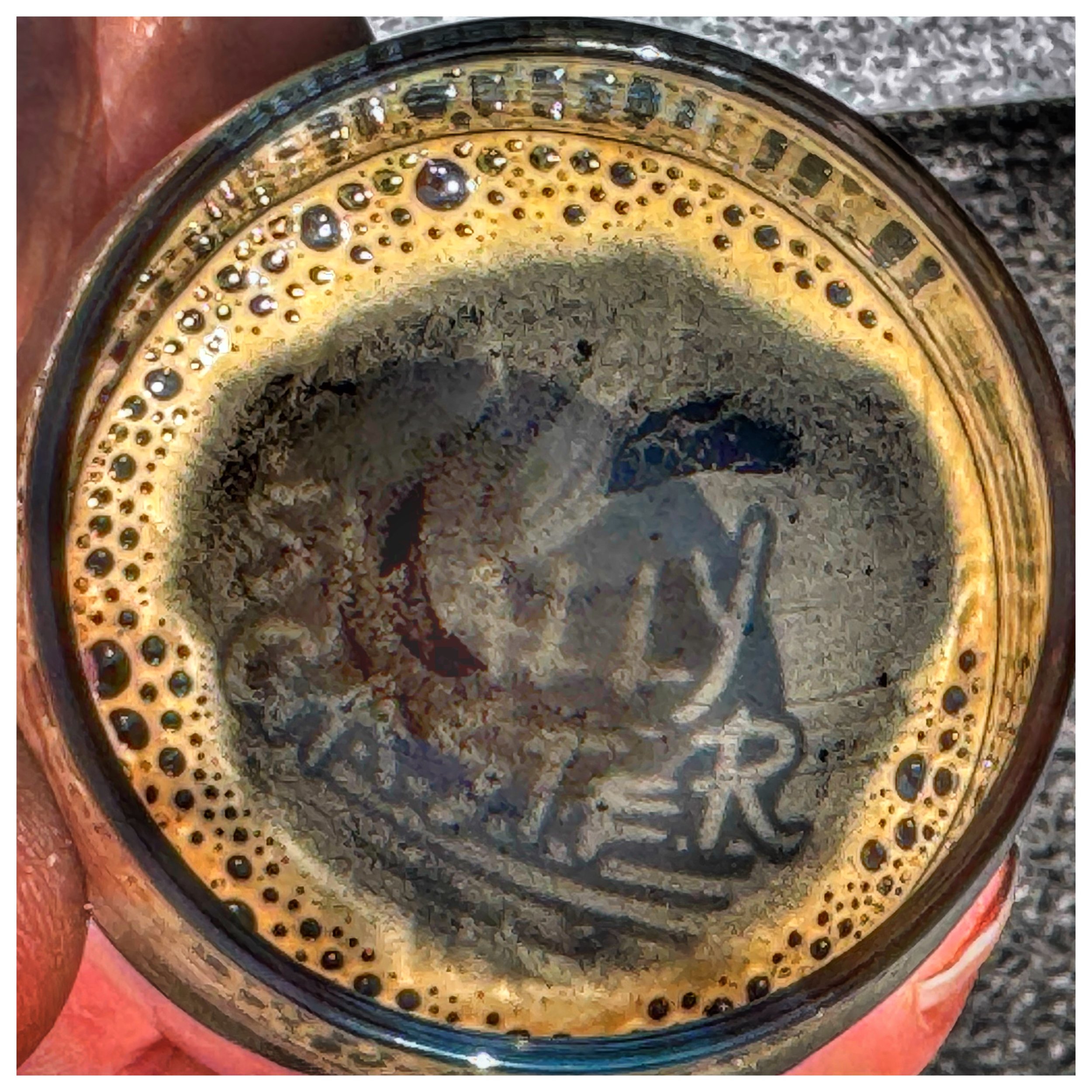 Snallygaster: A Great Day for Beer