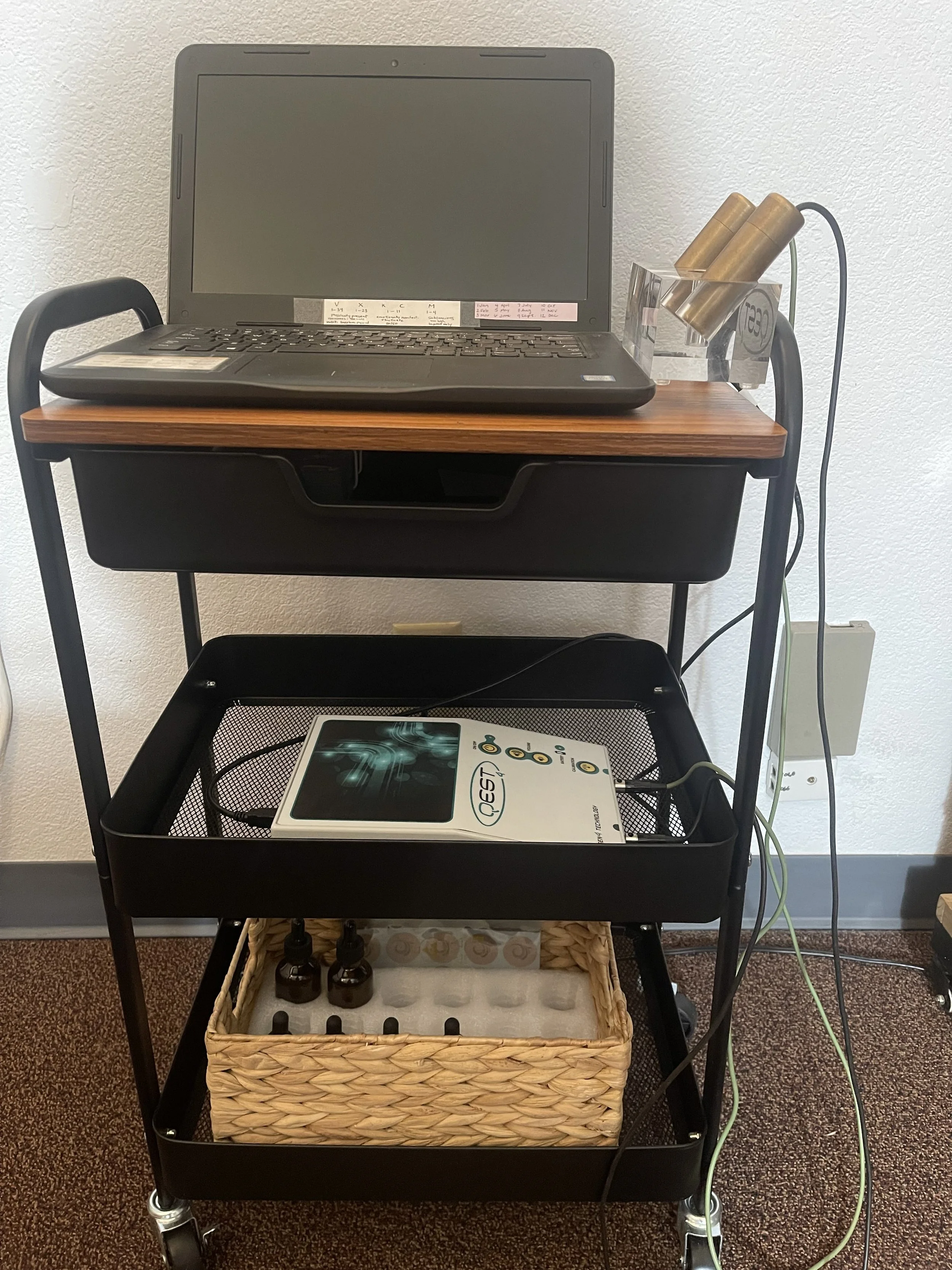 bioresonance test, qest 4, qest4