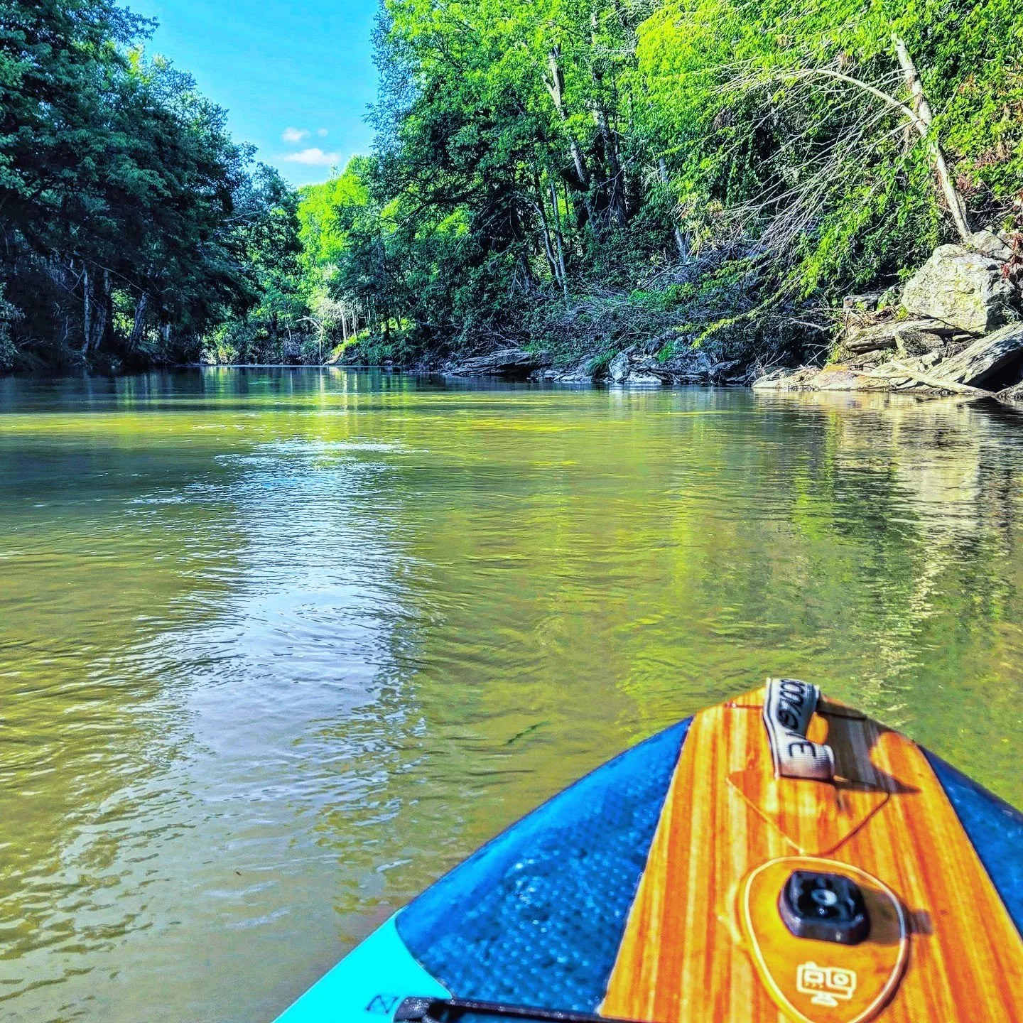 We had an amazing #paddle yesterday on the #newriver . The water was perfect.  If you're looking to cool off in the #highcountry , book a #paddleboarding tour with #tourboone today.
.
.
.
.
.
#boonenc #boone #blowingrock #blowingrocknc #SUP #river #r