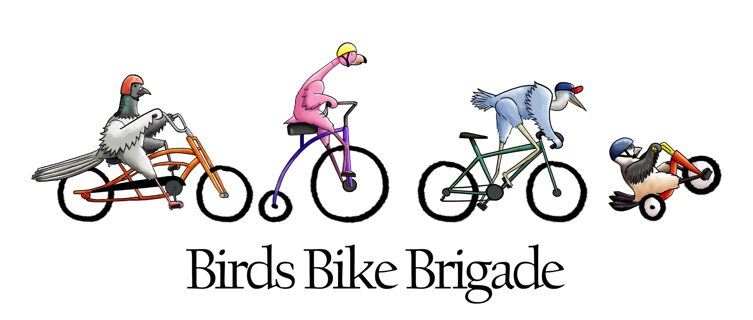 birdsBikeBrigadeArtboard 2.jpeg