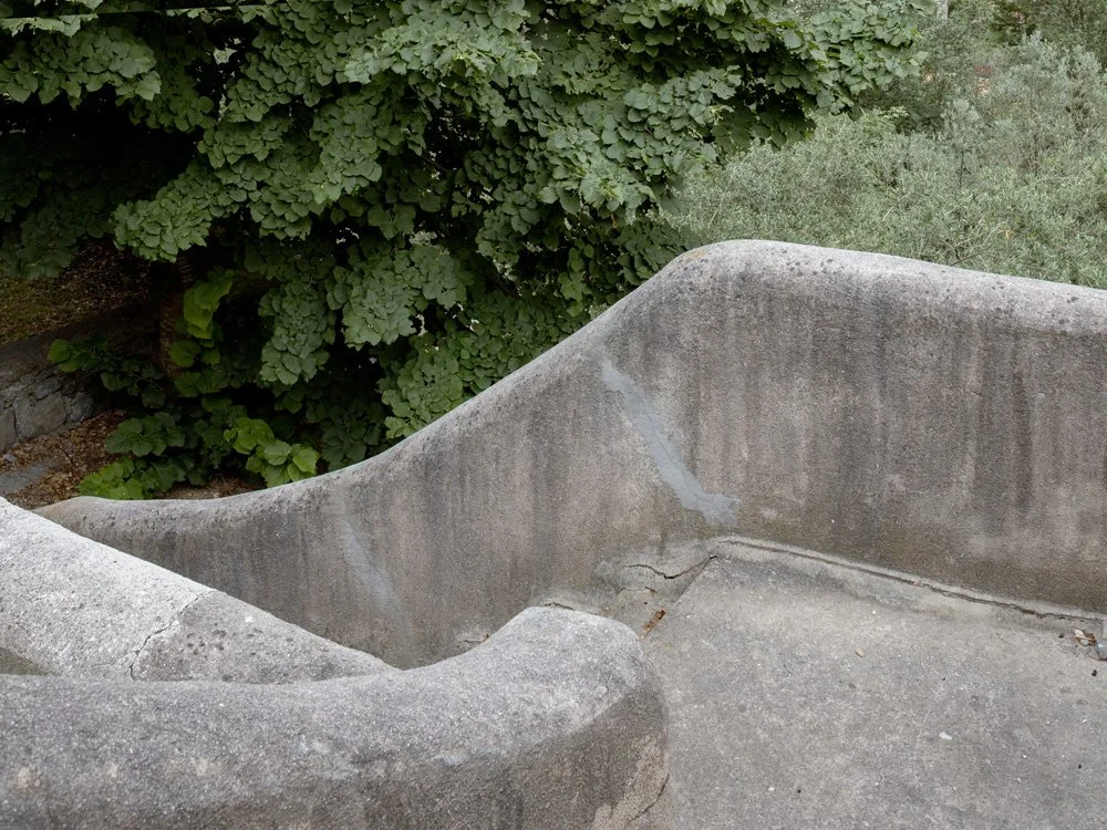 iovene-4578.jpg
