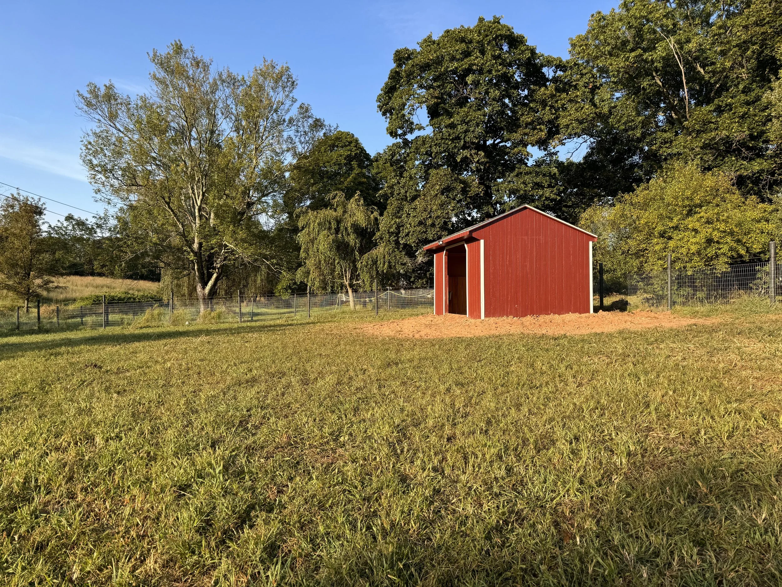 Private horse paddock with large run-in shed
