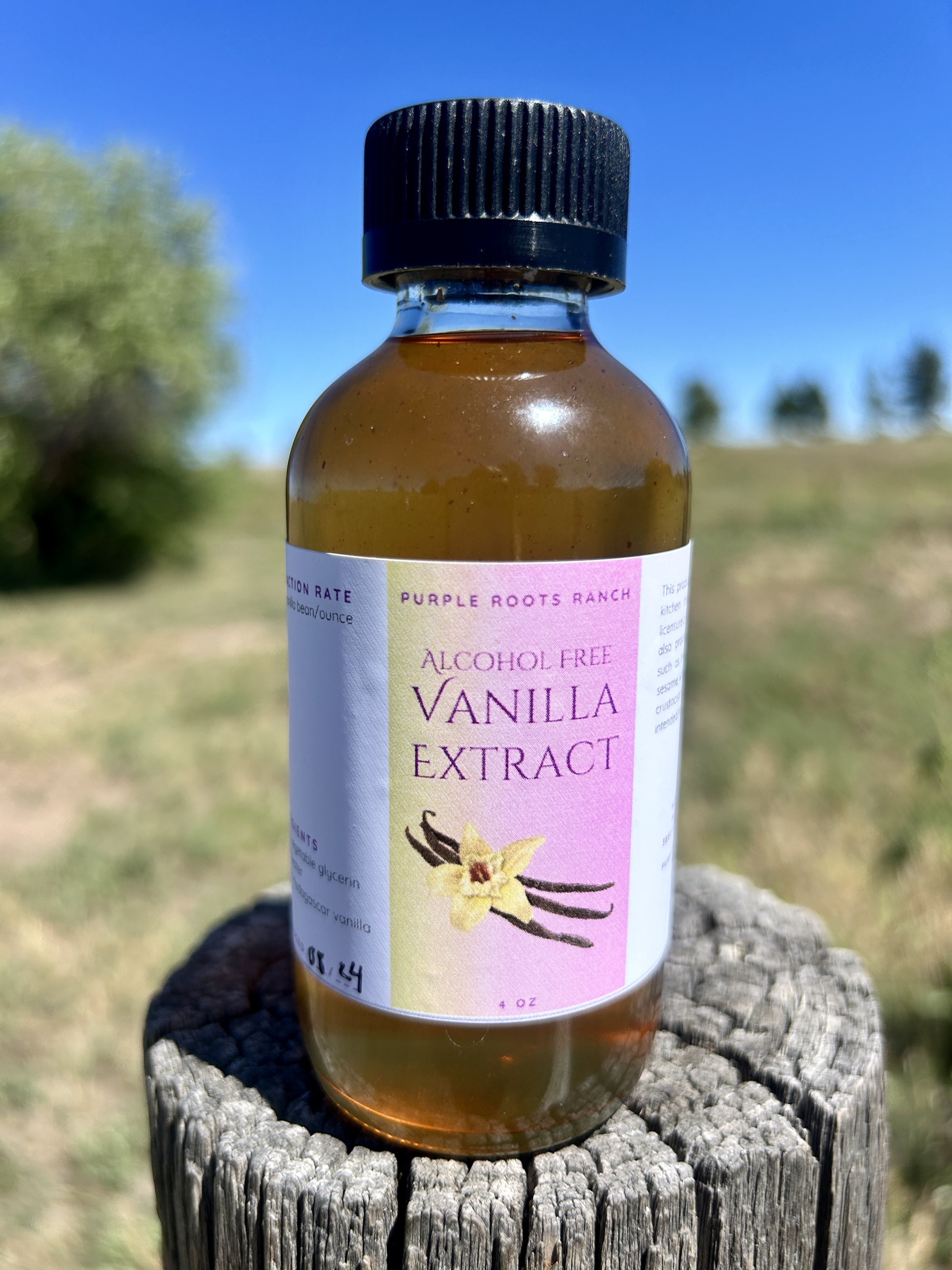 Alcohol Free Vanilla Extract