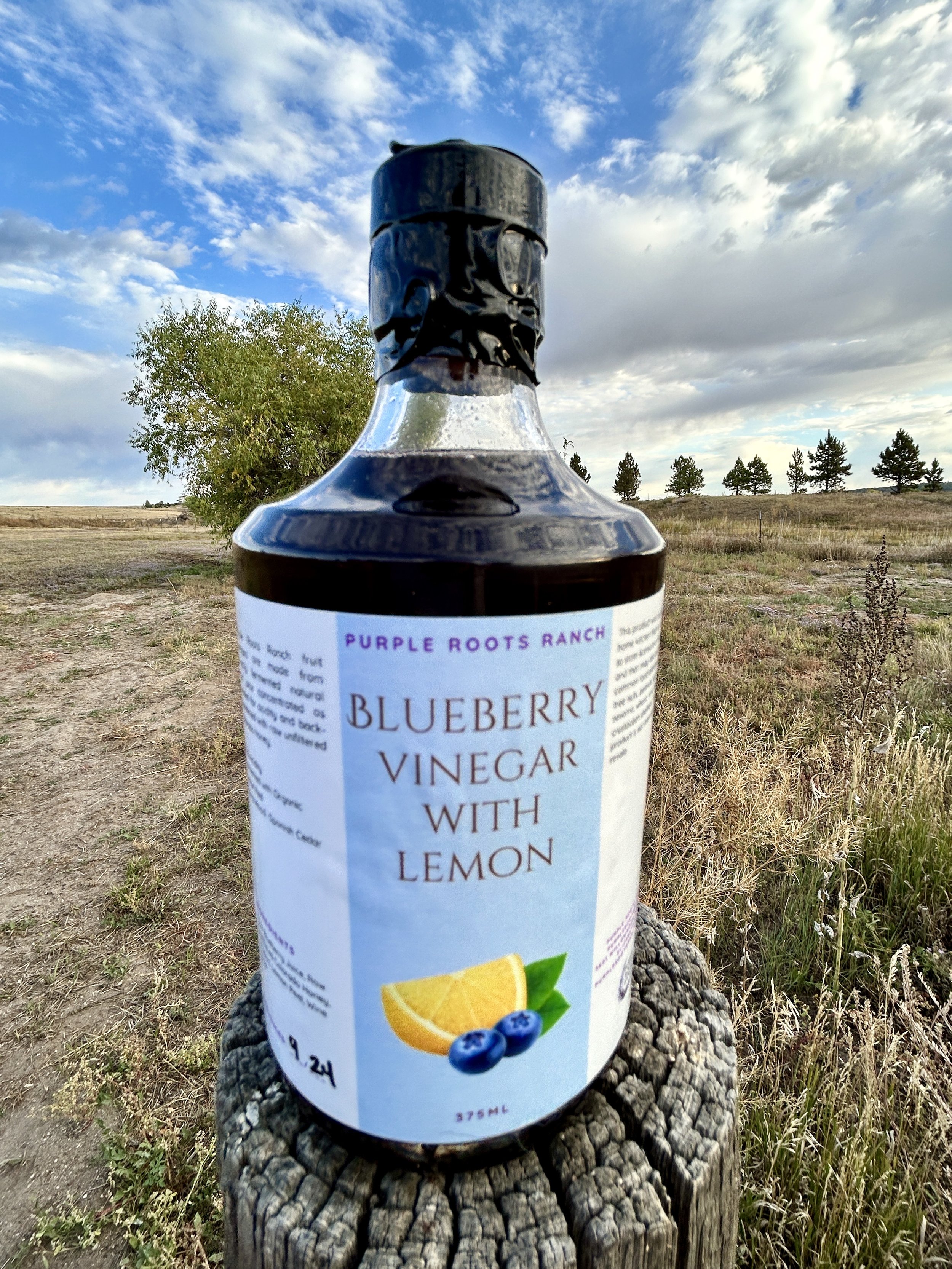Blueberry Vinegar with Lemon