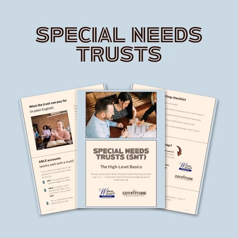 Special Needs Trusts: The High Level Basics