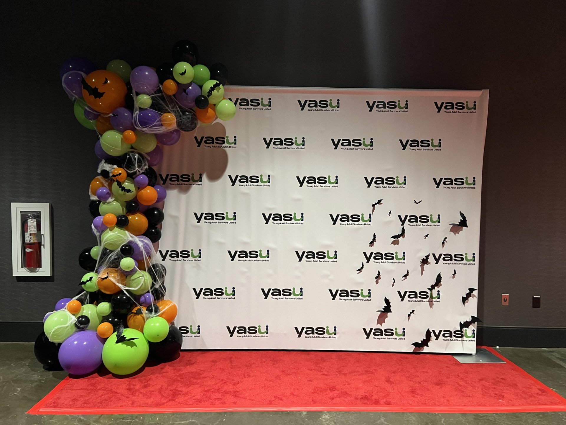 24a06948-70e6-4362-8248-7c8cb091952a.jfif