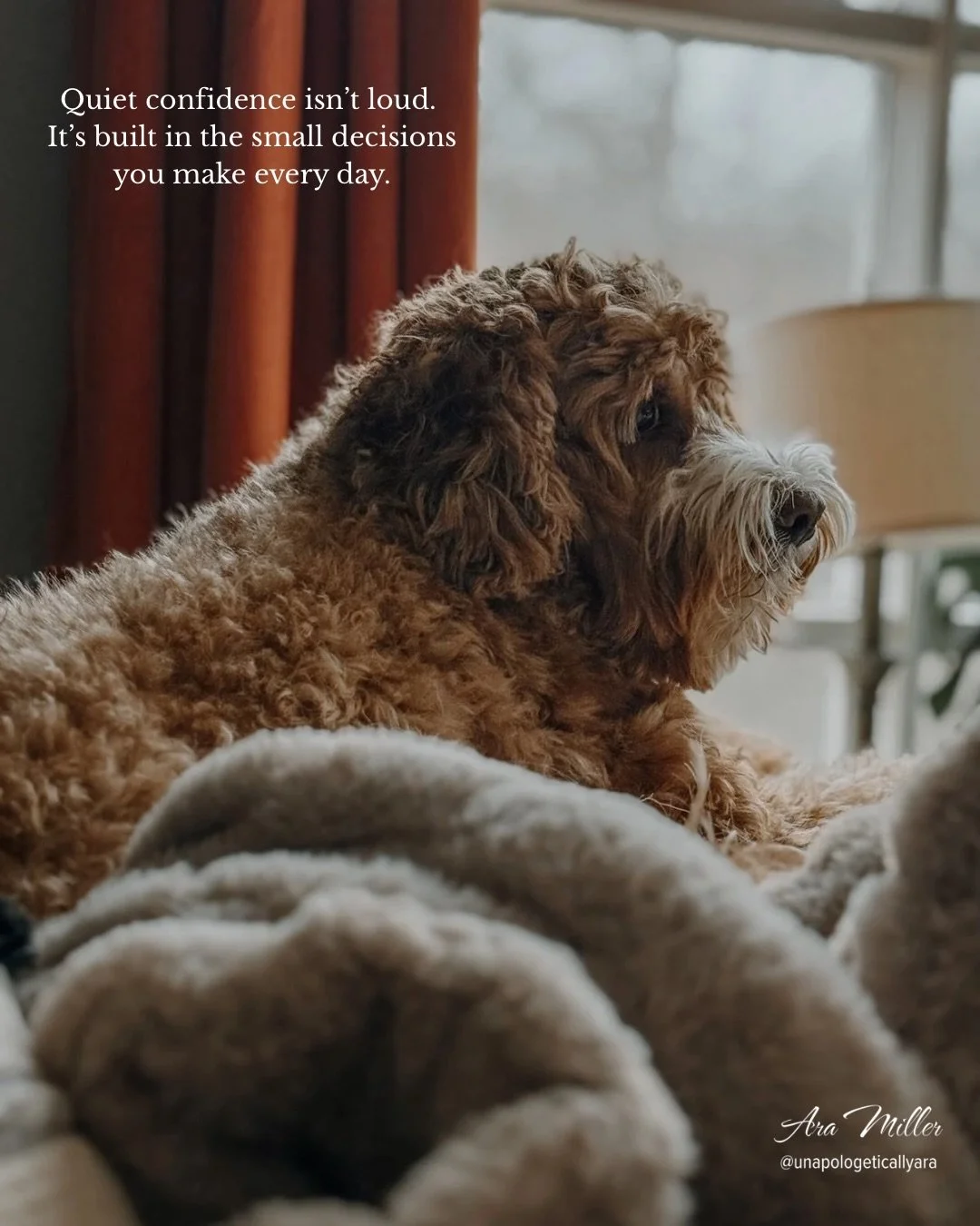 Quiet confidence isn&rsquo;t something you&rsquo;re born with.

It&rsquo;s something you build &mdash; one small action at a time.

Most people wait until they feel confident before they start.
But the truth is&hellip; confidence is the result of act