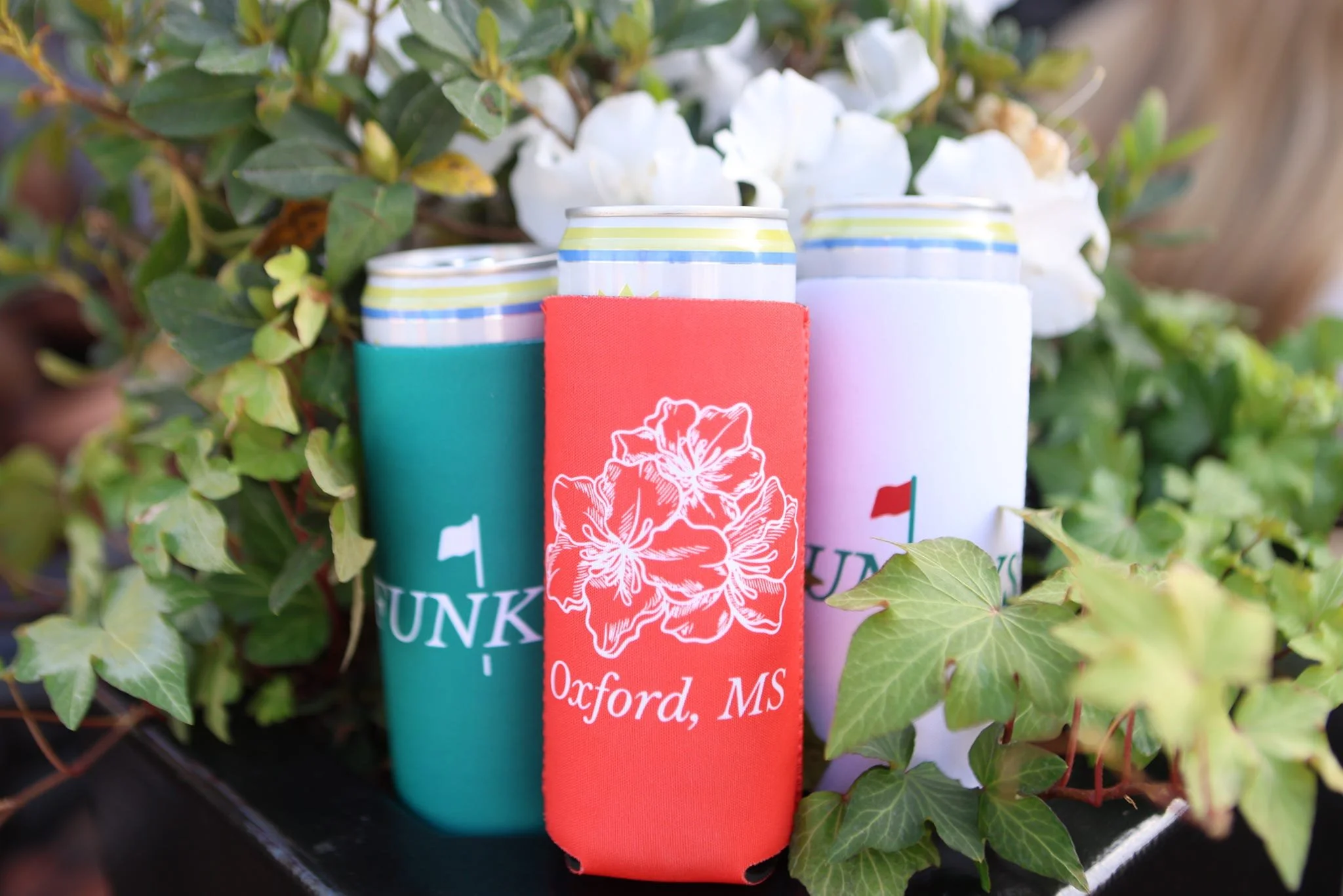 20260407_191315_E53509.JPEG (Copy)