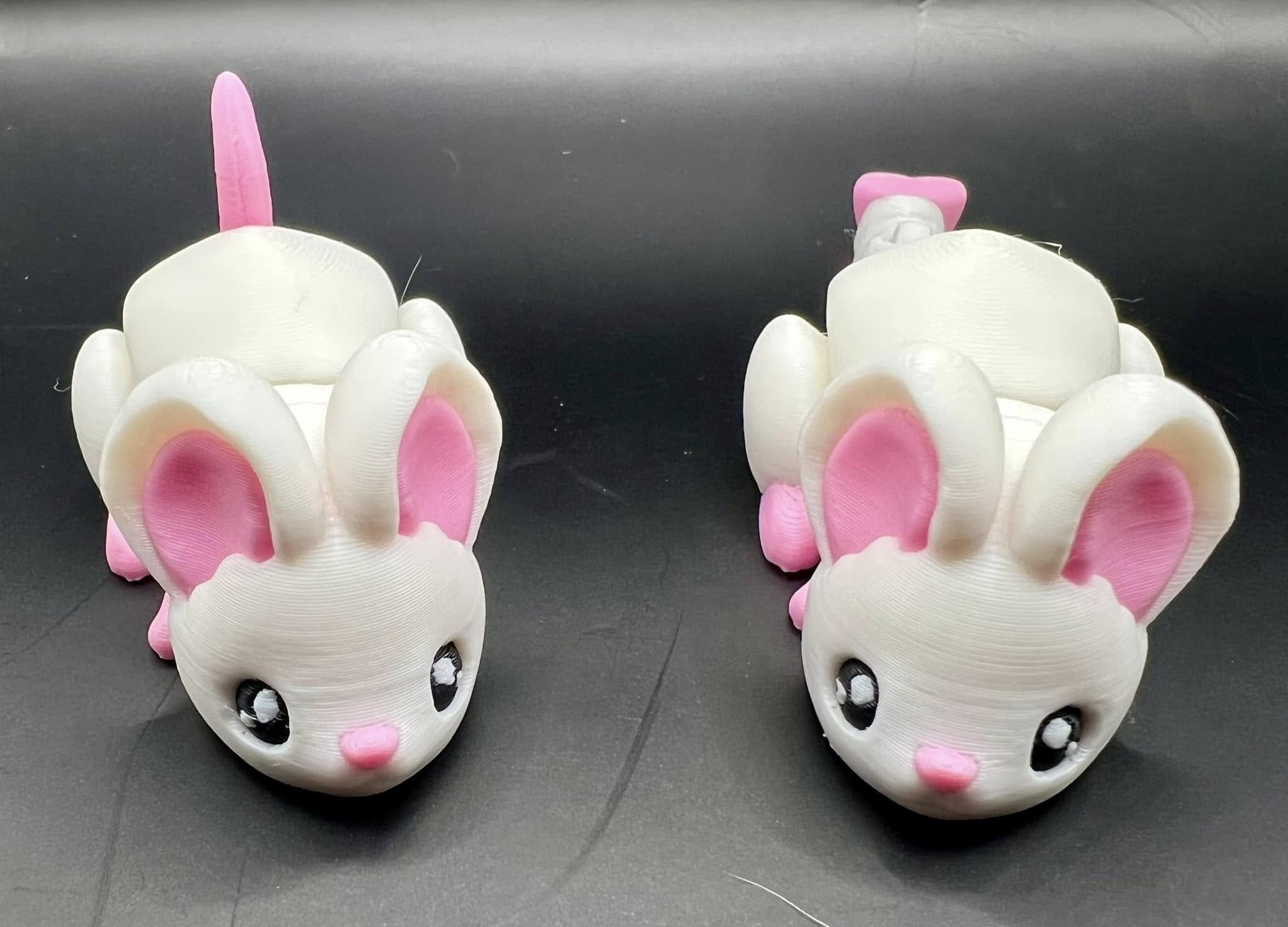mouse-flexi-1.jpg