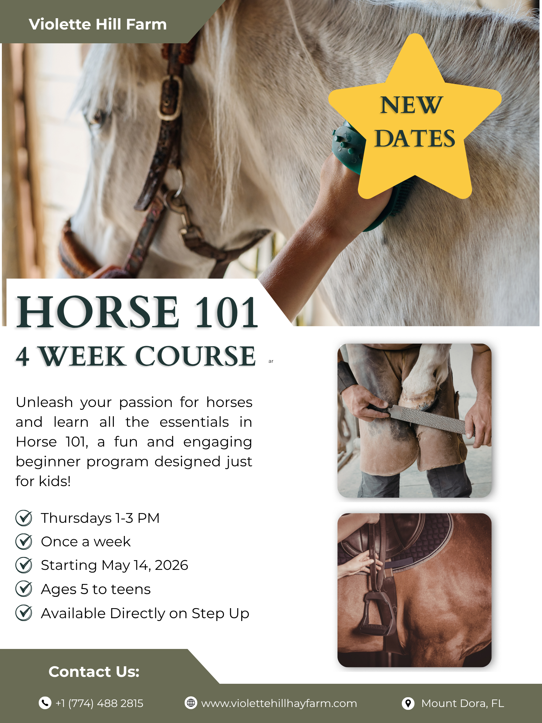 4 Weeks of Horse 101 Class