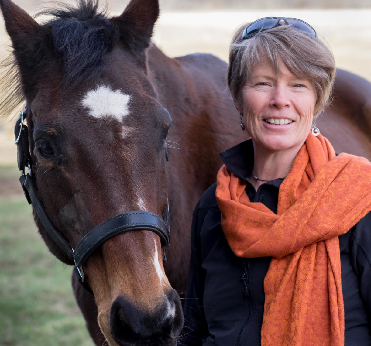 Sensing The Emerging Future As An EAL Facilitator