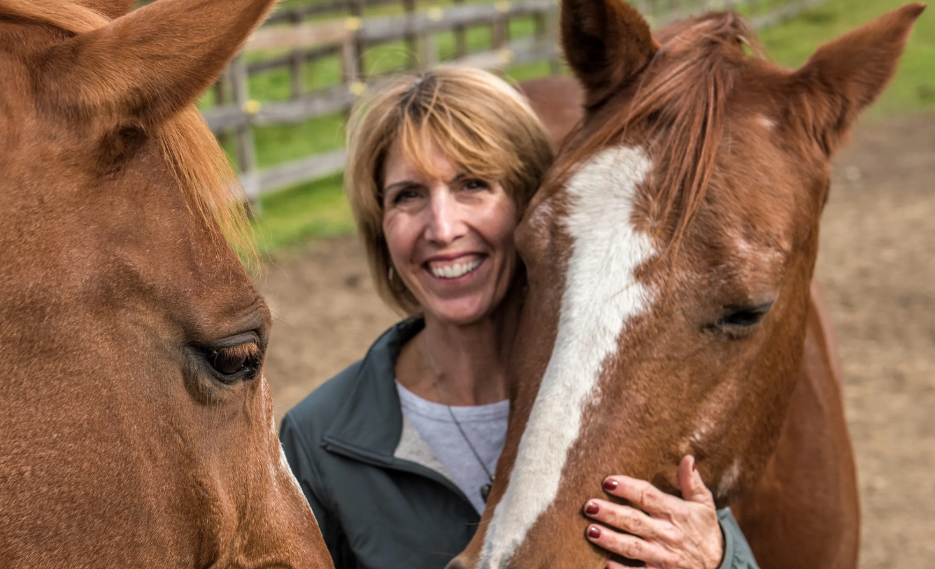 When Curiosity Returns: How Horses Reopen the Door to Choice