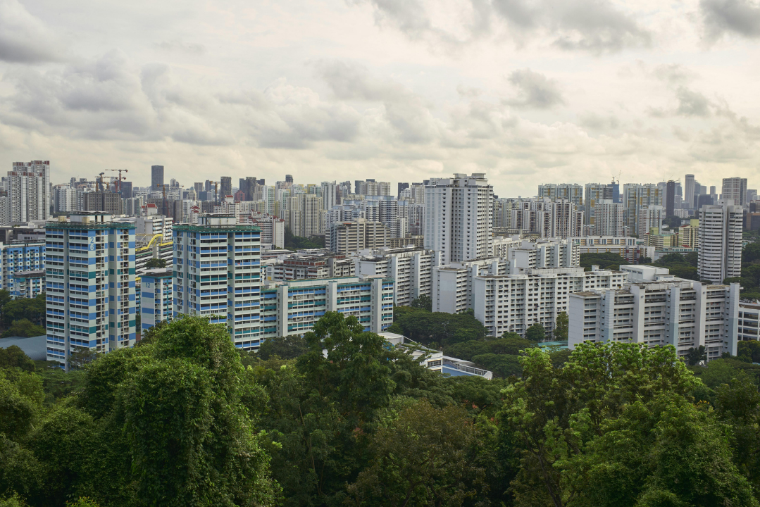 Why Vertical Integration Matters in Development