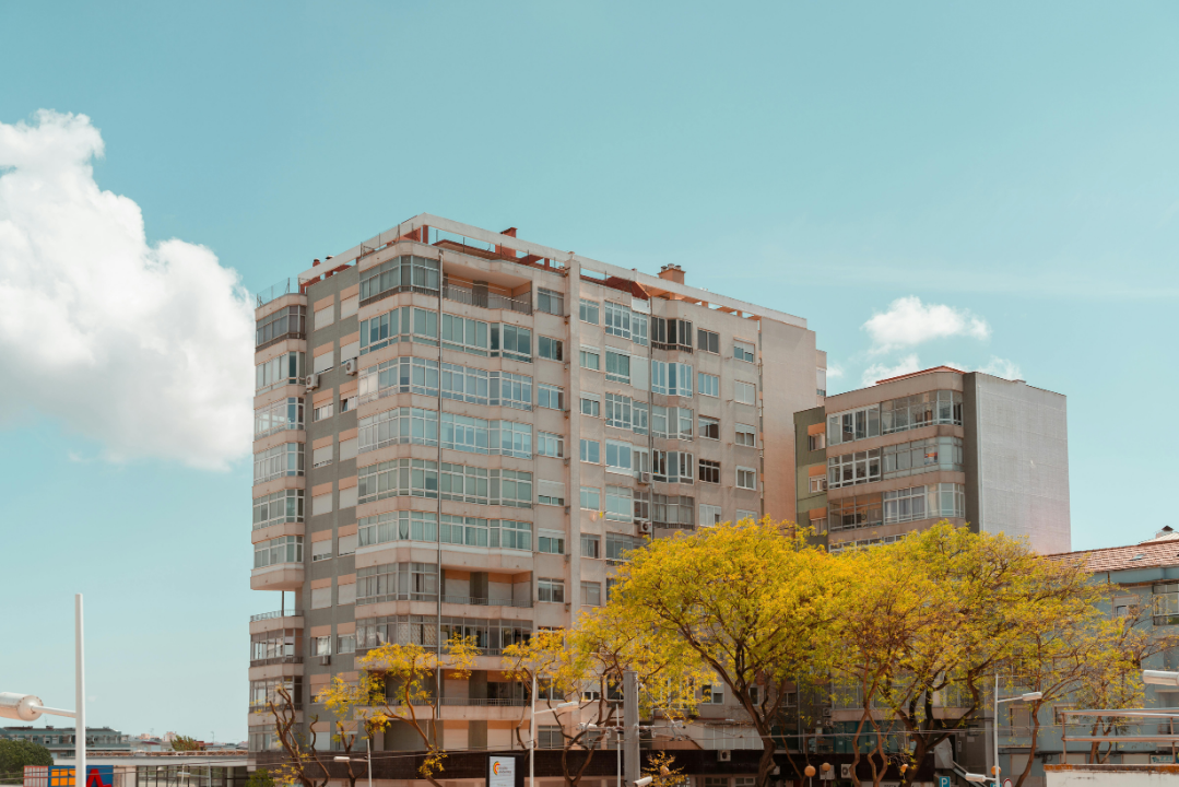 Investing Through Market Transitions