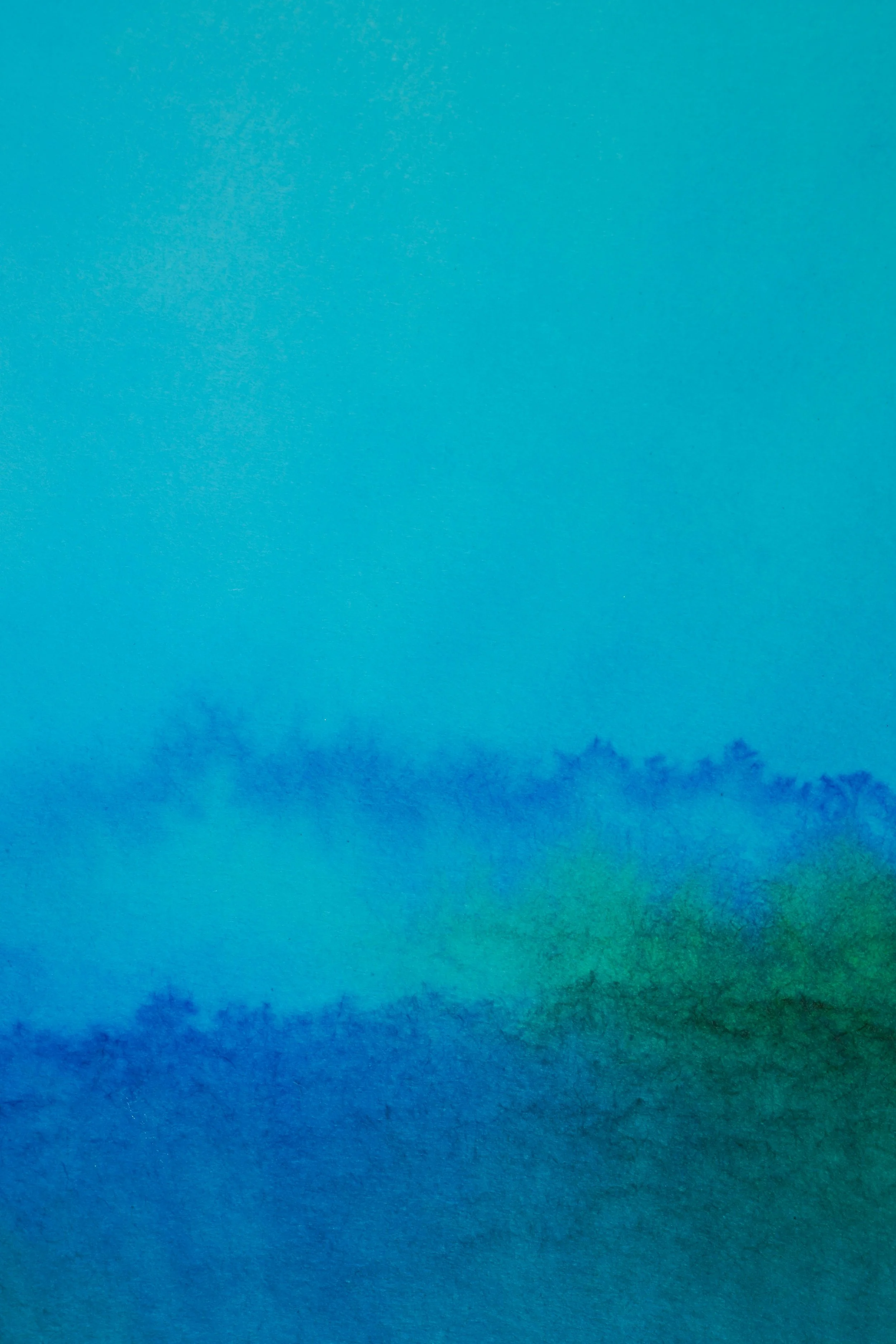 Social Media Management