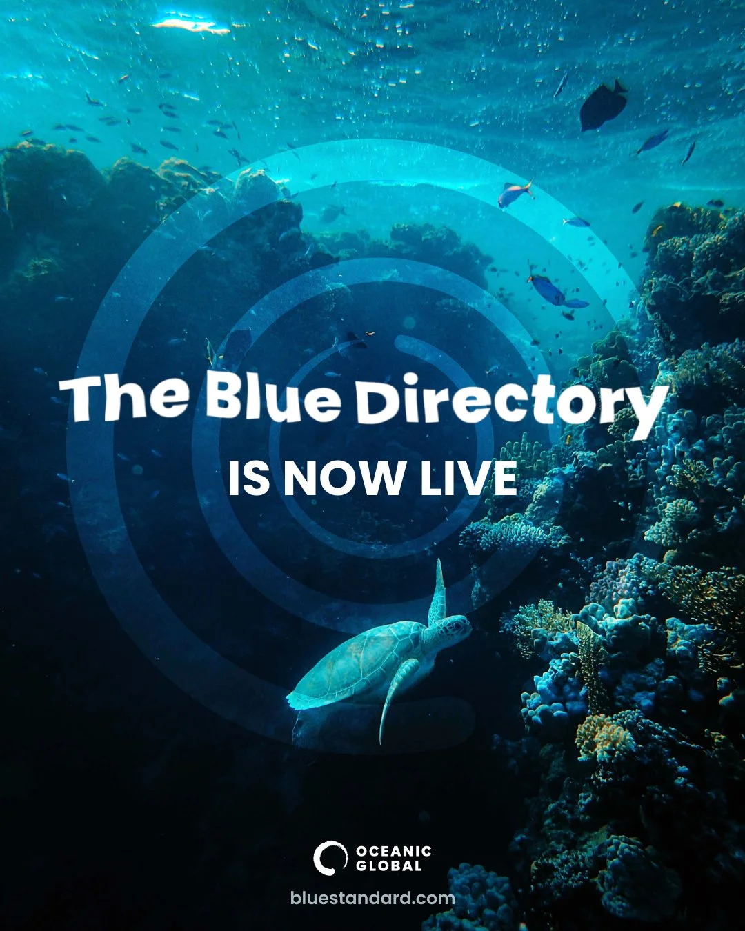 Blue Launch Infographic_Post_Slide1.jpg
