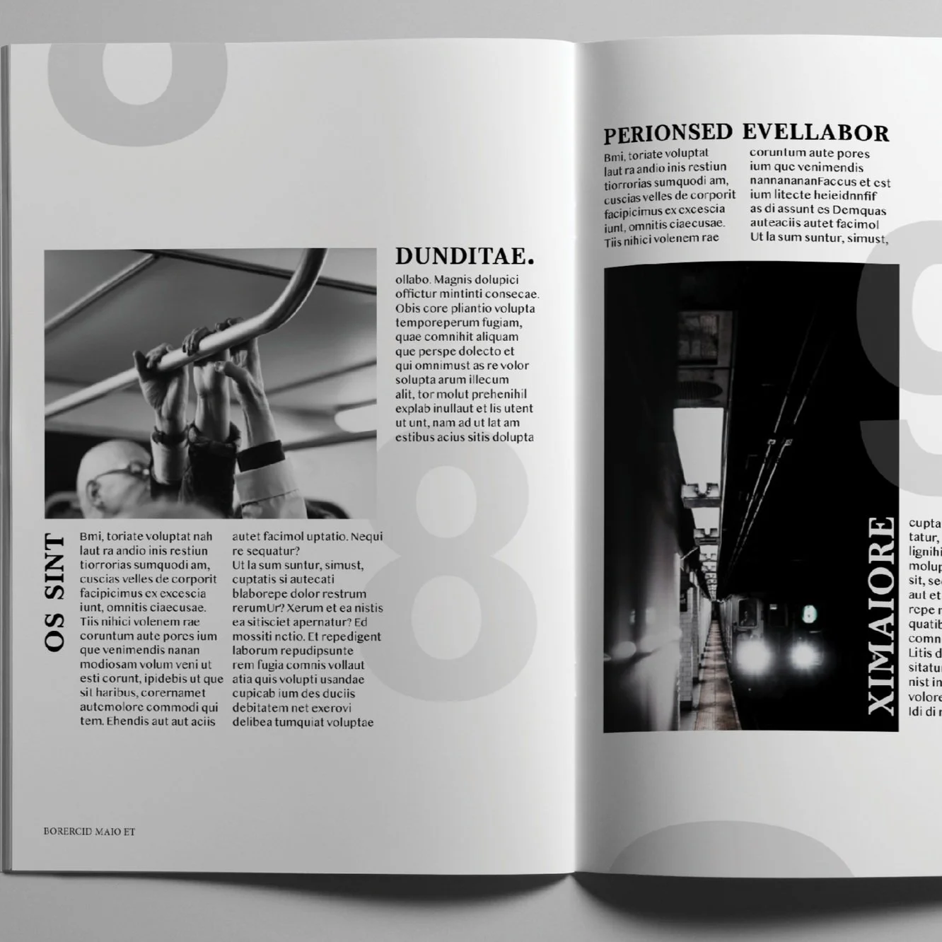Magnuson, Mockup Layout.jpg