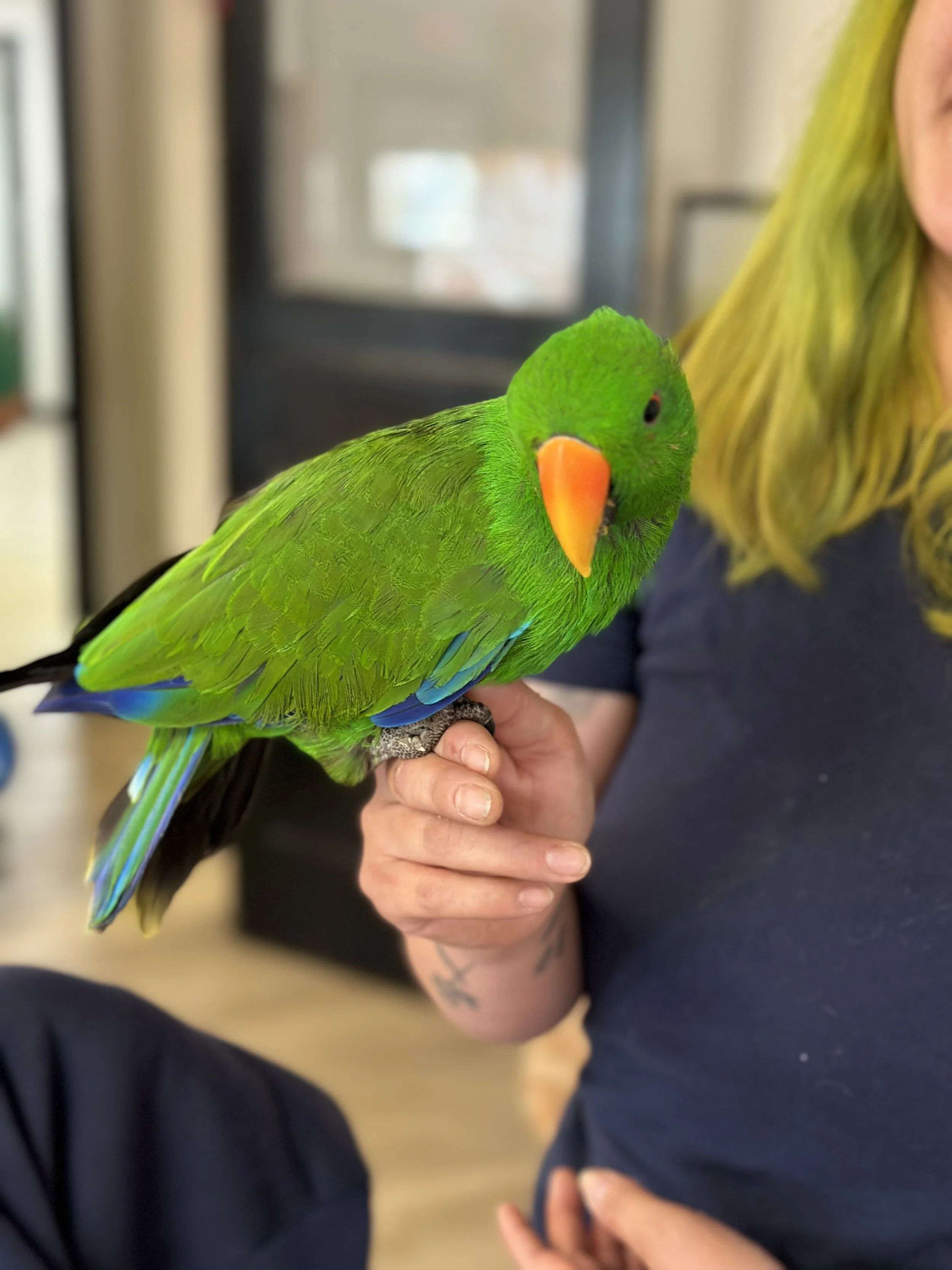 Reptile and Amphibian Show March 11