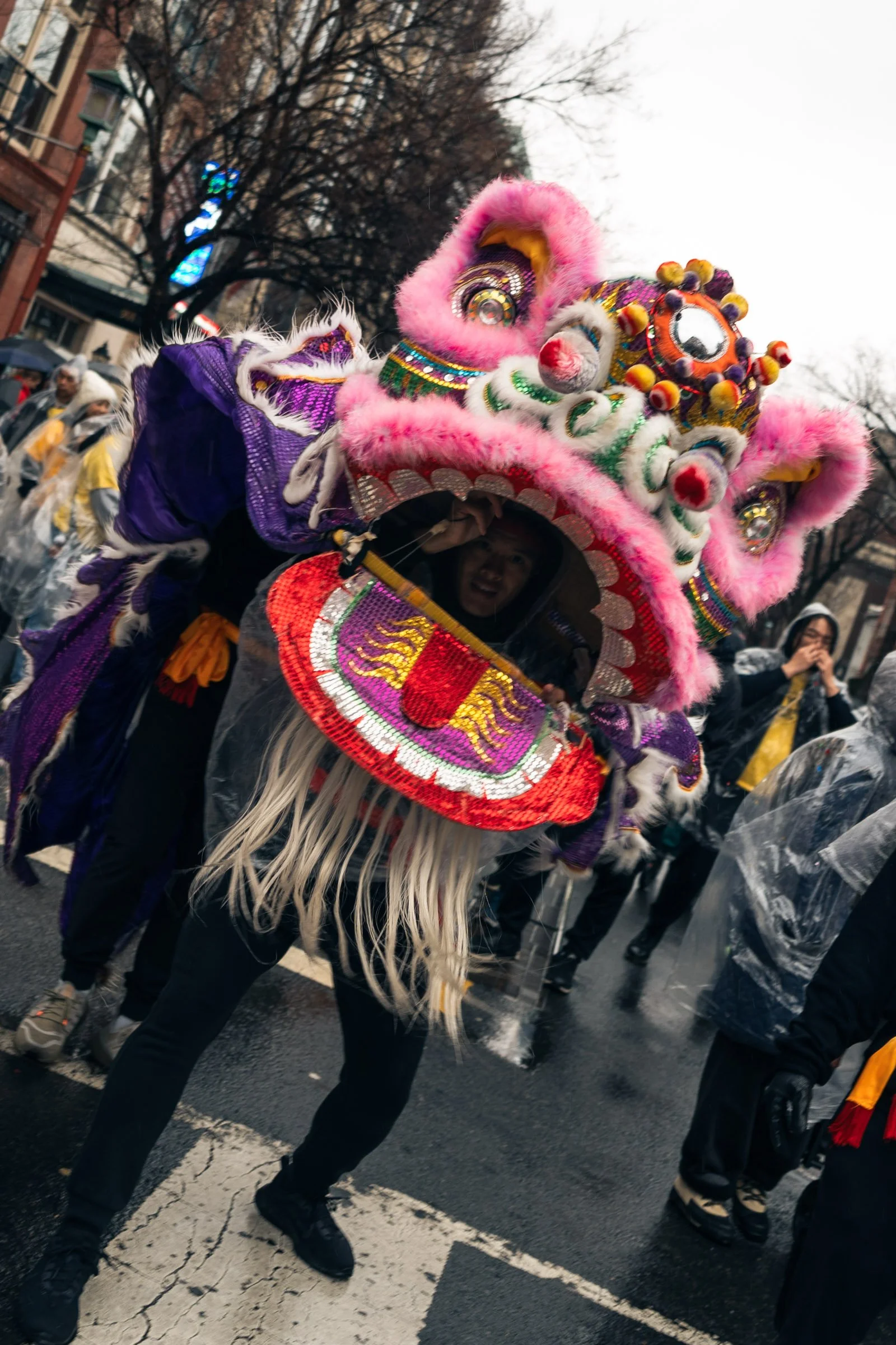 12-CNY-PARADE-YURI-LEE.jpg