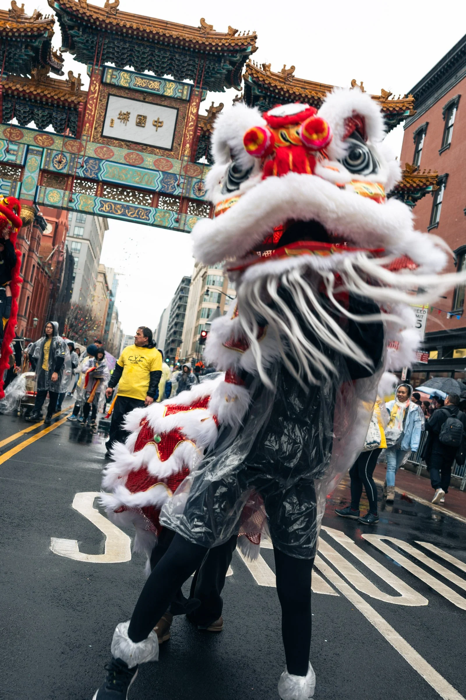 18-CNY-PARADE-YURI-LEE.jpg