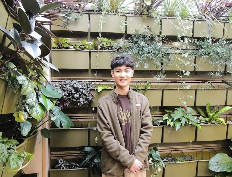 The Living Wall