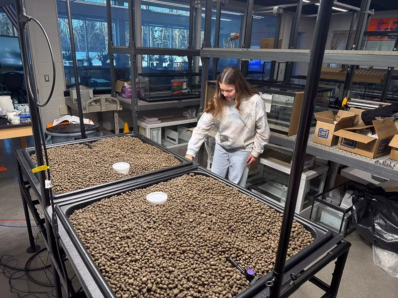 Aquaponics in the Wetlab