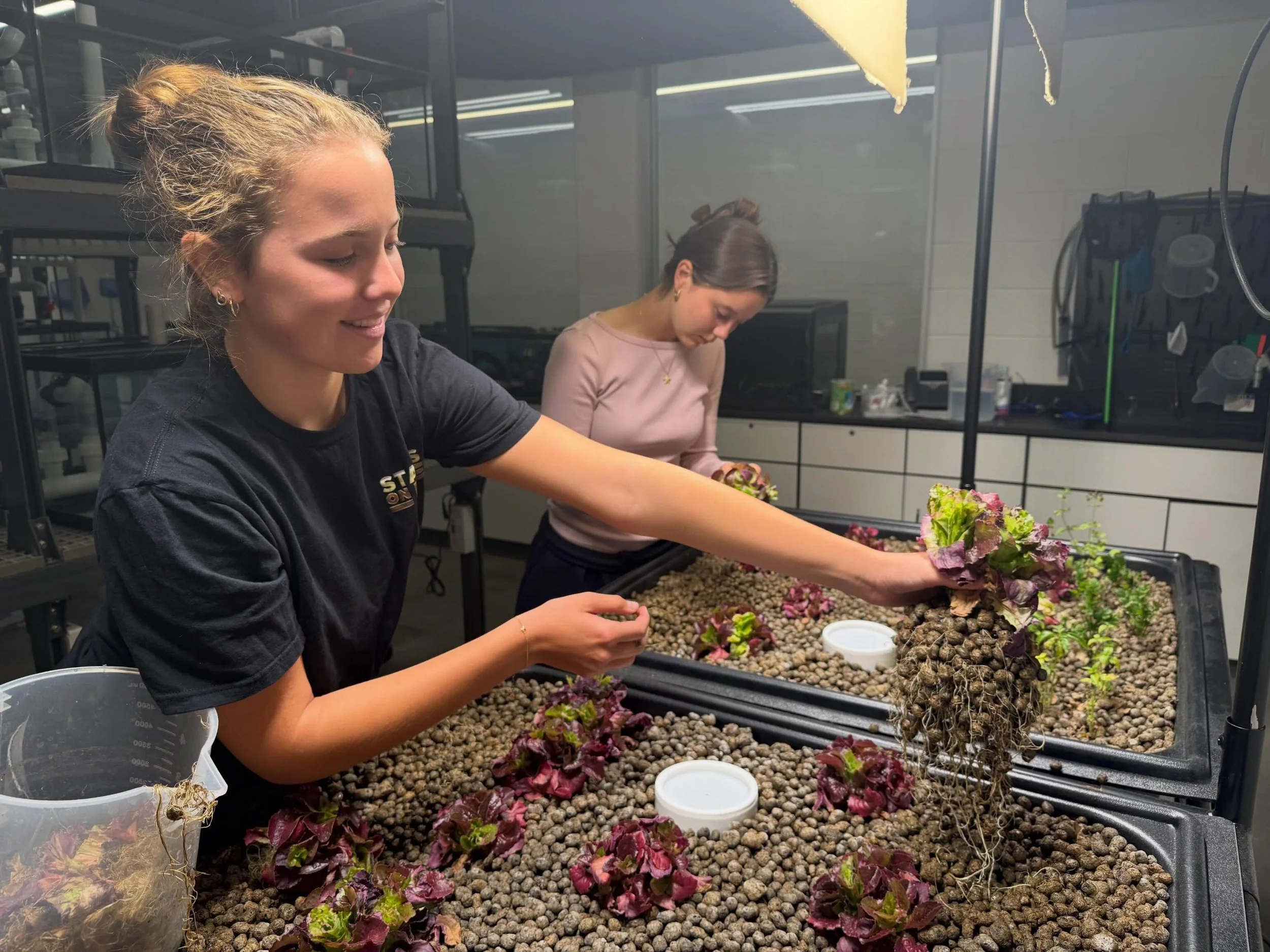 Grant In Action - Aquaponics In the Wetlab