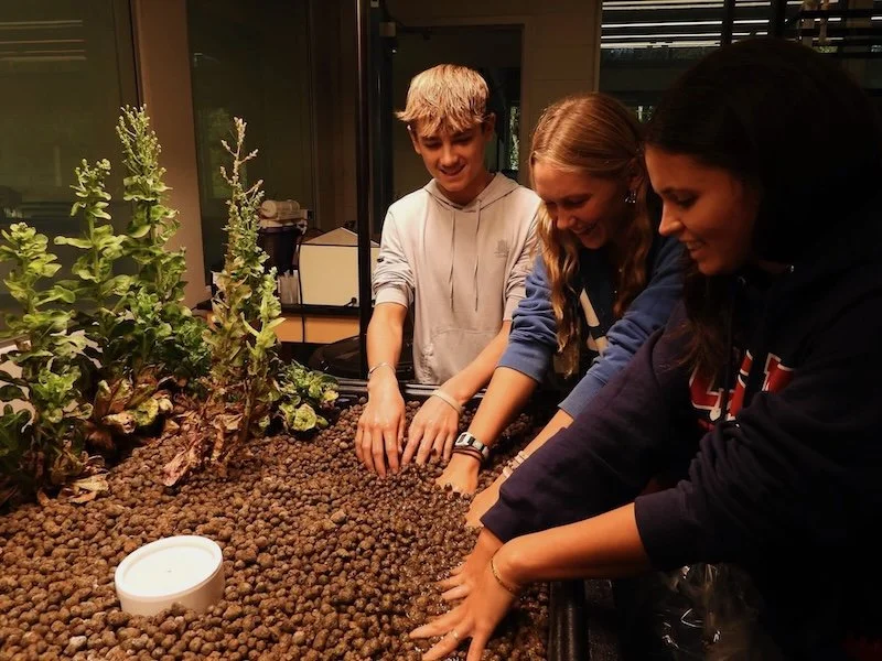 Aquaponics in the Wetlab