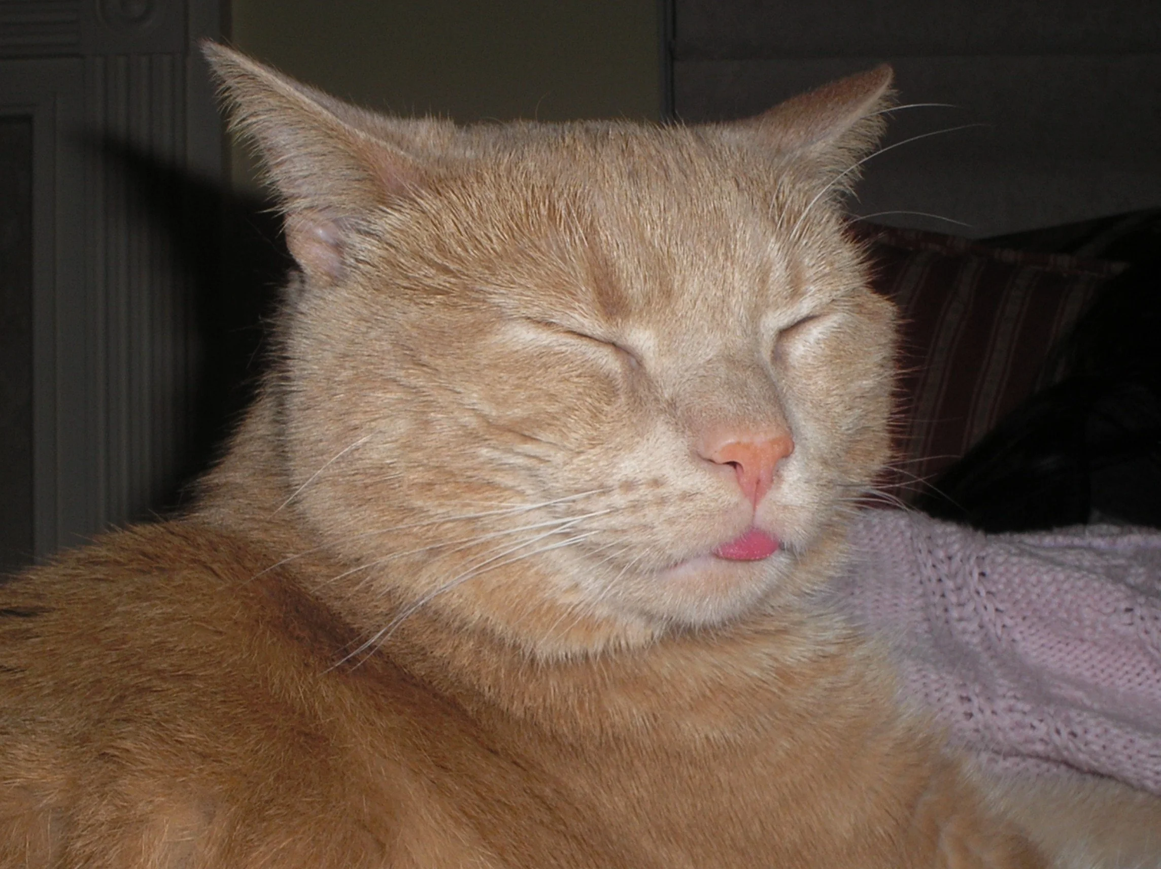 PC231019.JPG