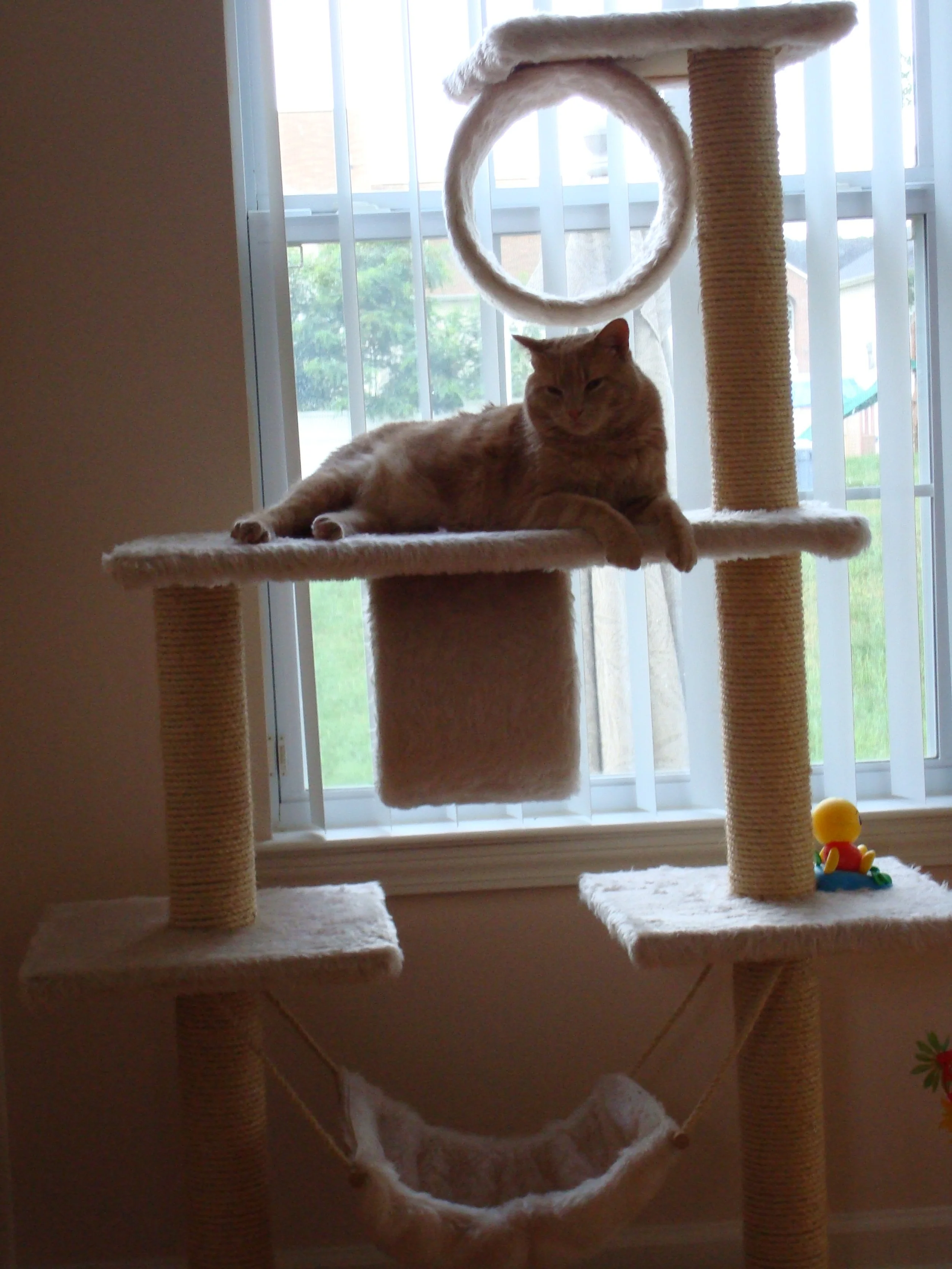 DSC00210.JPG