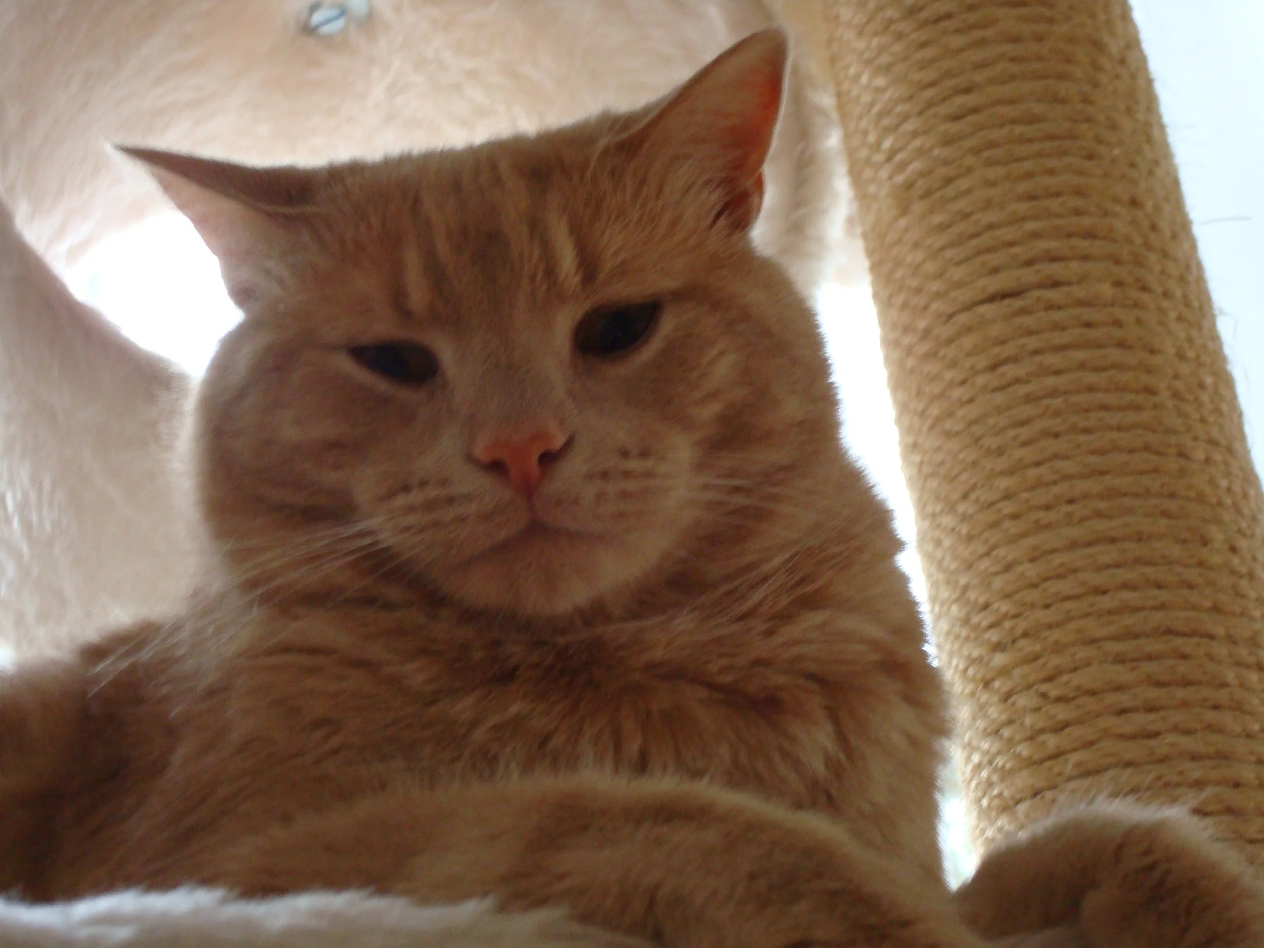 DSC00214.JPG