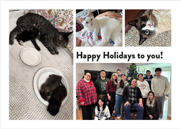 Screenshot 2025-12-29 at 4.40.35 PM.png