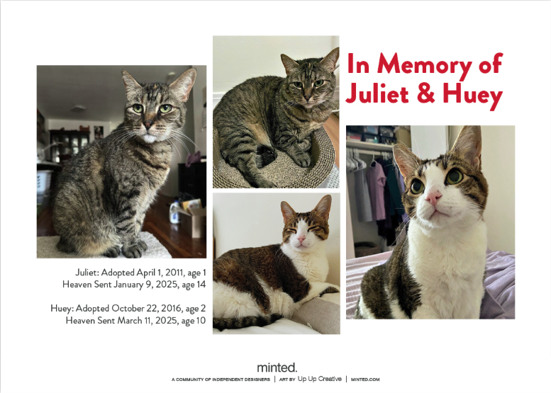 Screenshot 2025-12-29 at 4.23.54 PM.png